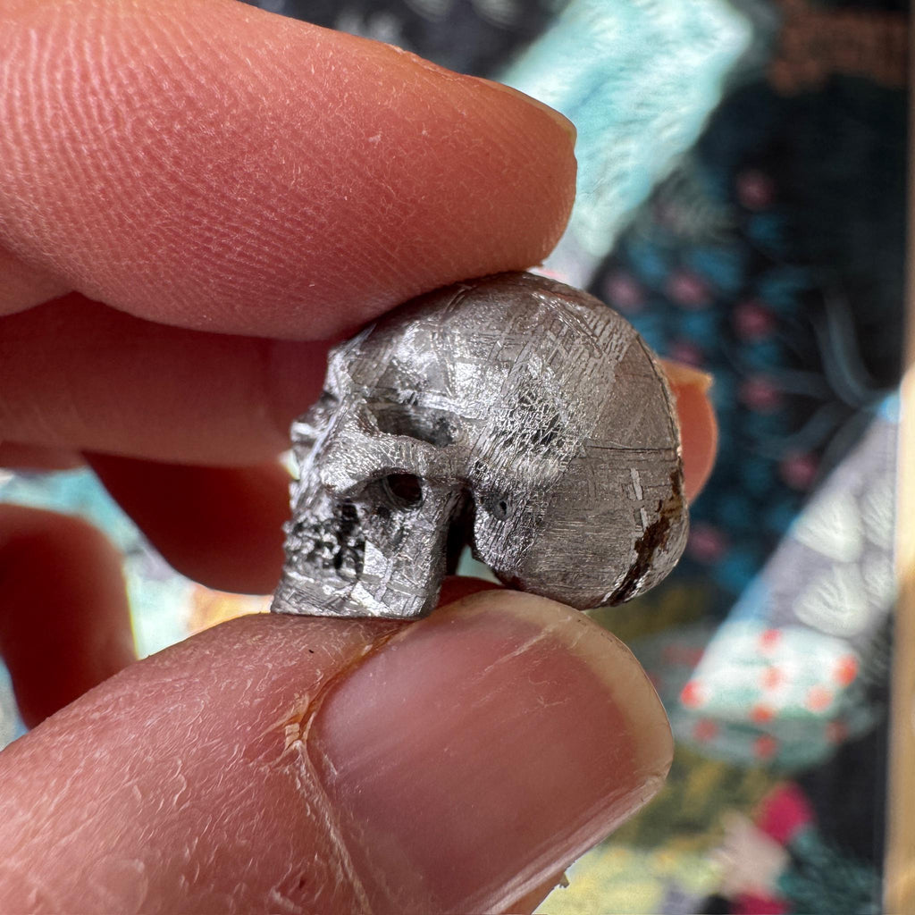 Small Detailed Gibeon Meteorite Skull from Artifactual