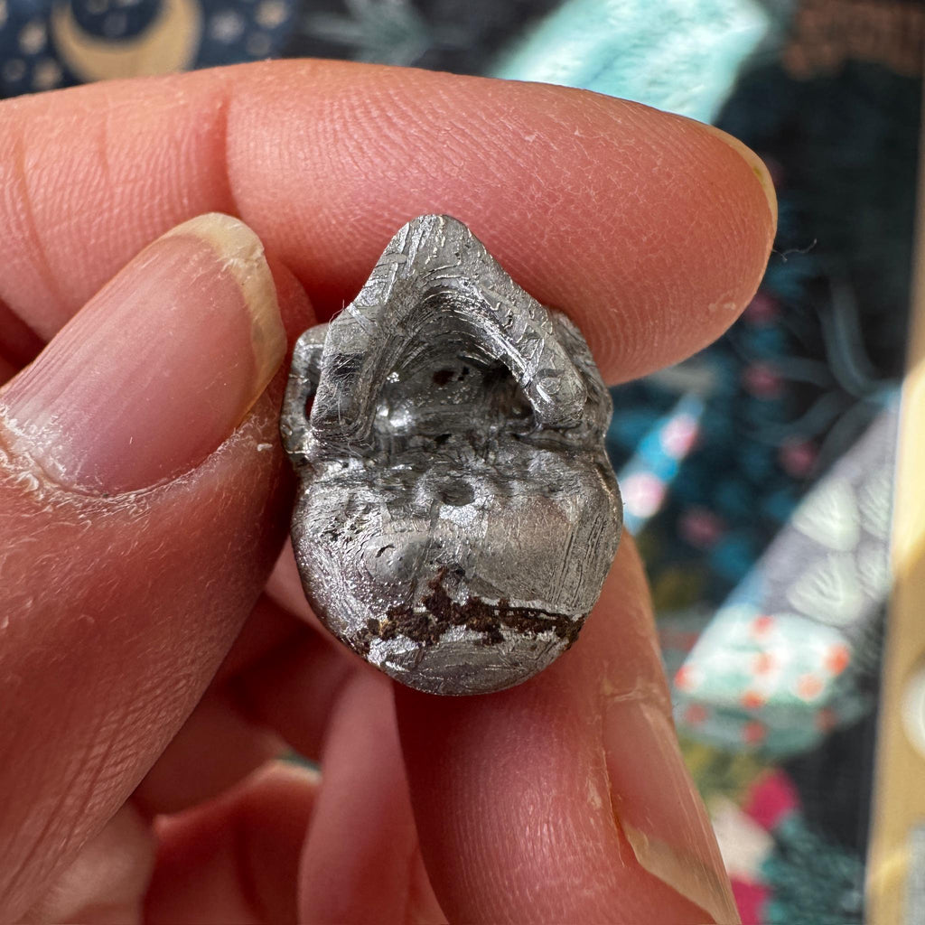 Small Detailed Gibeon Meteorite Skull from Artifactual
