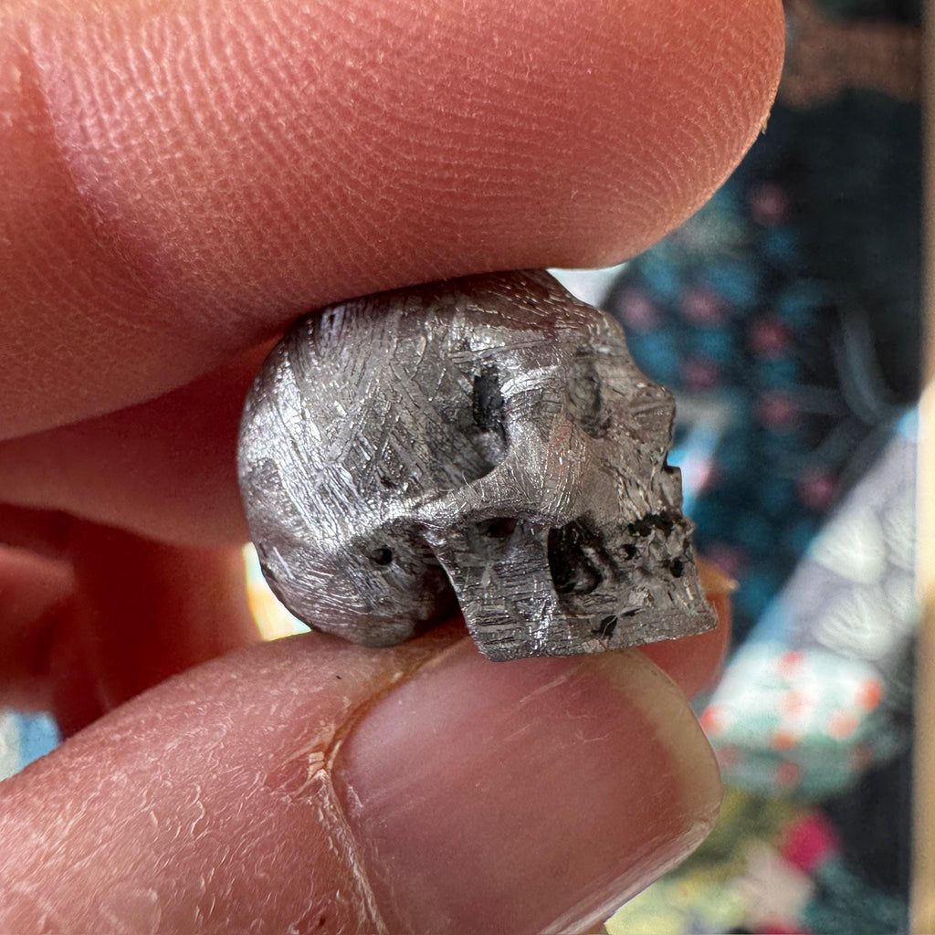 Small Detailed Gibeon Meteorite Skull from Artifactual