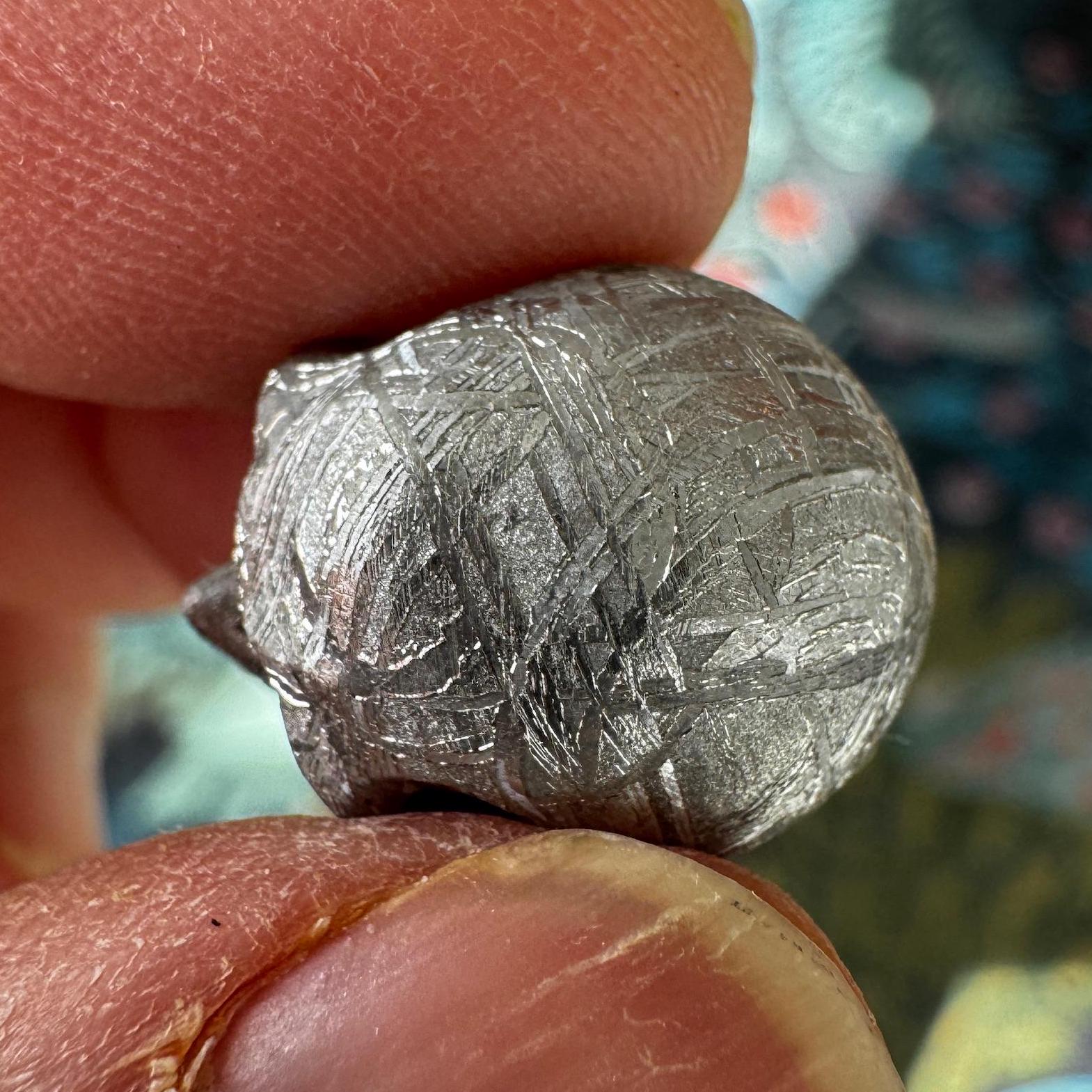 Small Detailed Gibeon Meteorite Skull #2 from Artifactual