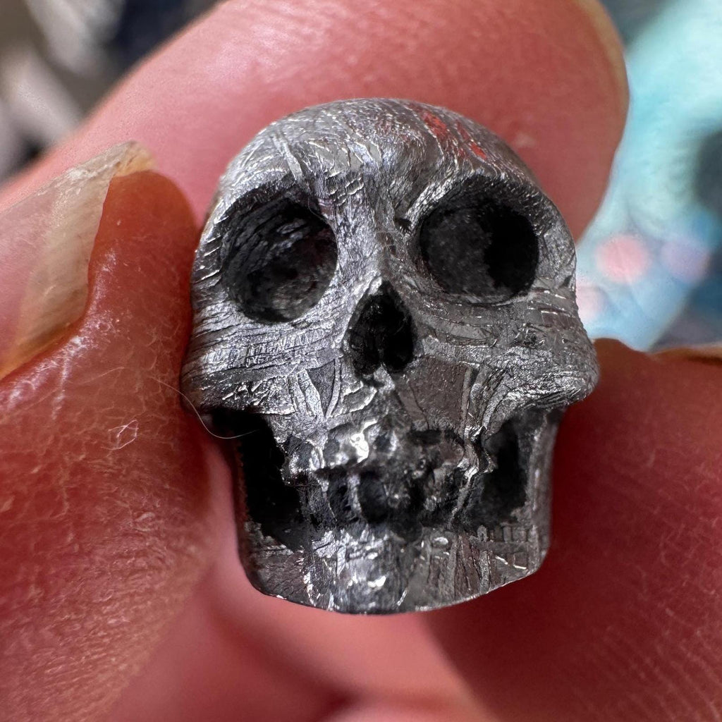Small Detailed Gibeon Meteorite Skull #3 from Artifactual