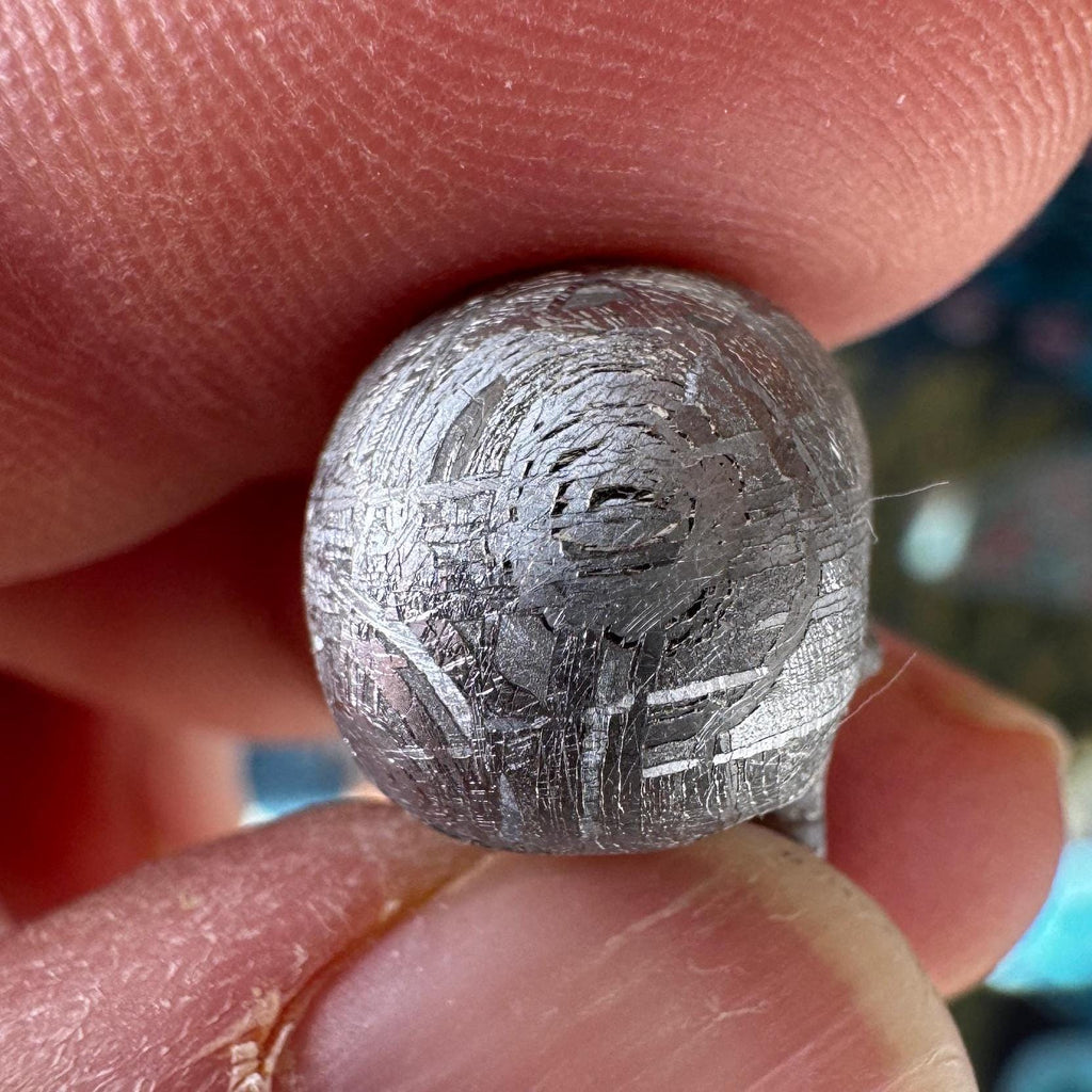 Small Detailed Gibeon Meteorite Skull #4 from Artifactual