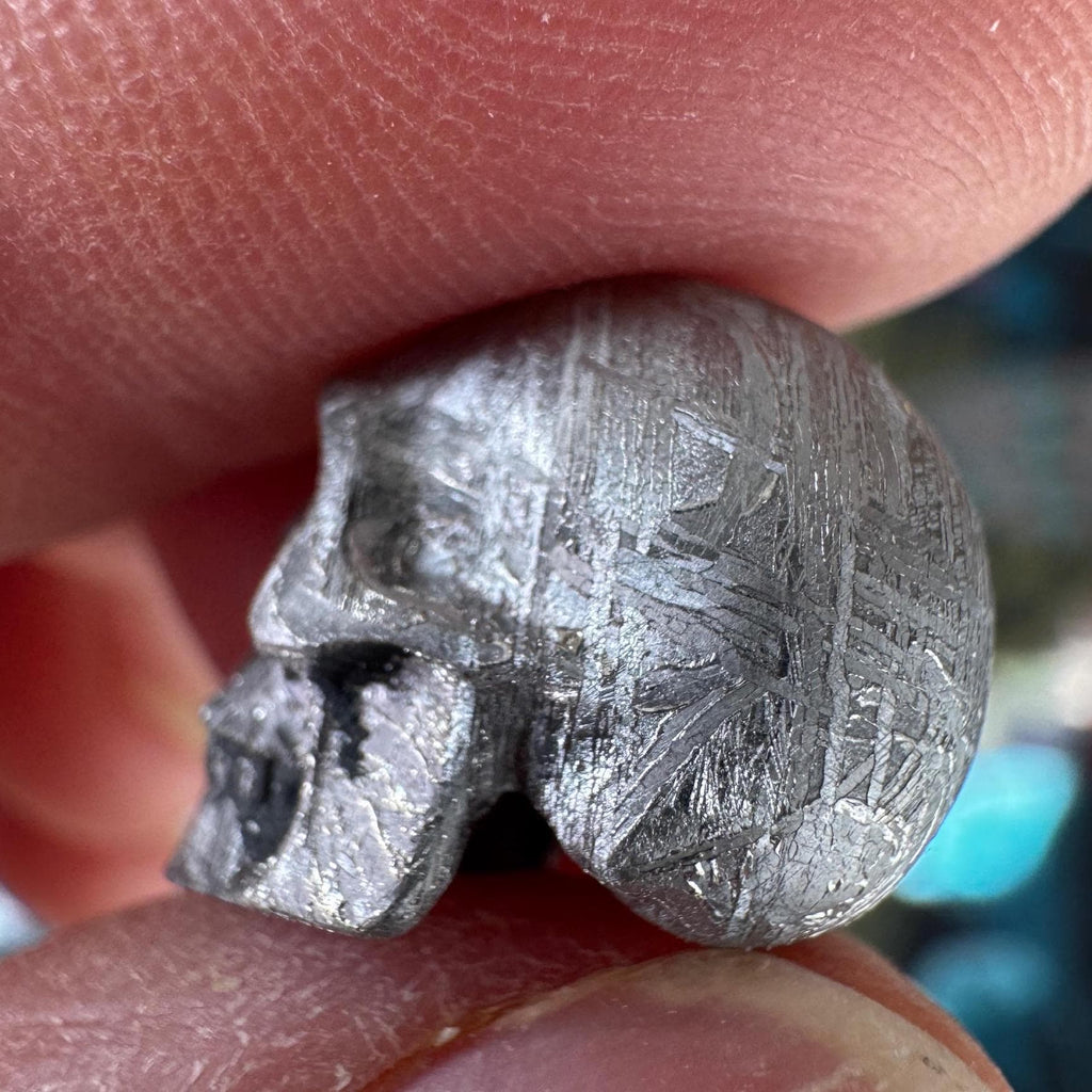 Small Detailed Gibeon Meteorite Skull #4 from Artifactual
