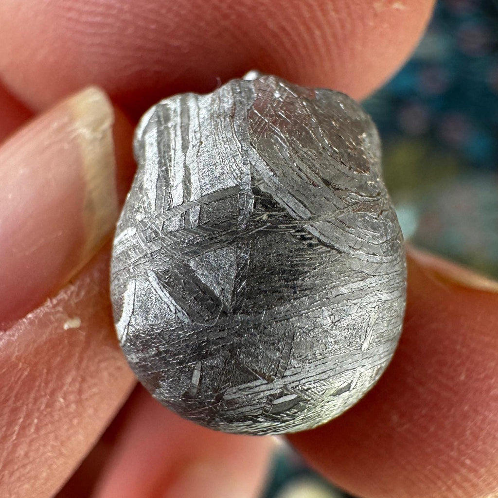 Small Detailed Gibeon Meteorite Skull #4 from Artifactual