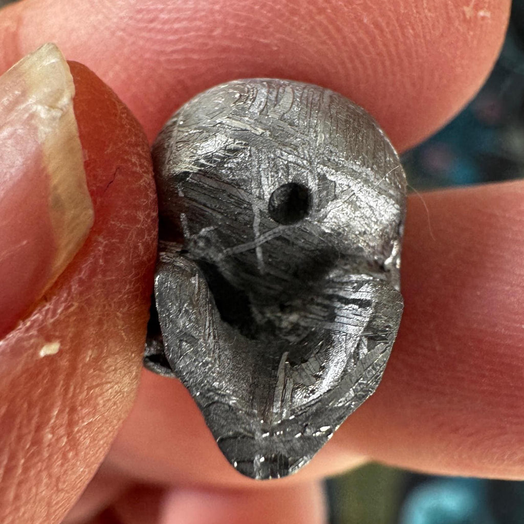 Small Detailed Gibeon Meteorite Skull #4 from Artifactual