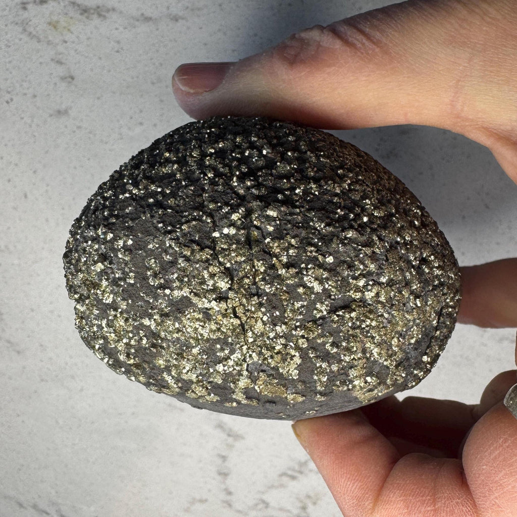 Stunning Large Pyrite Concretion #1