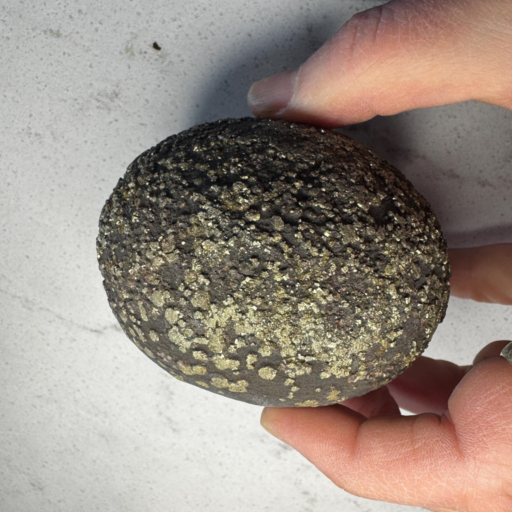 Stunning Large Pyrite Concretion #3