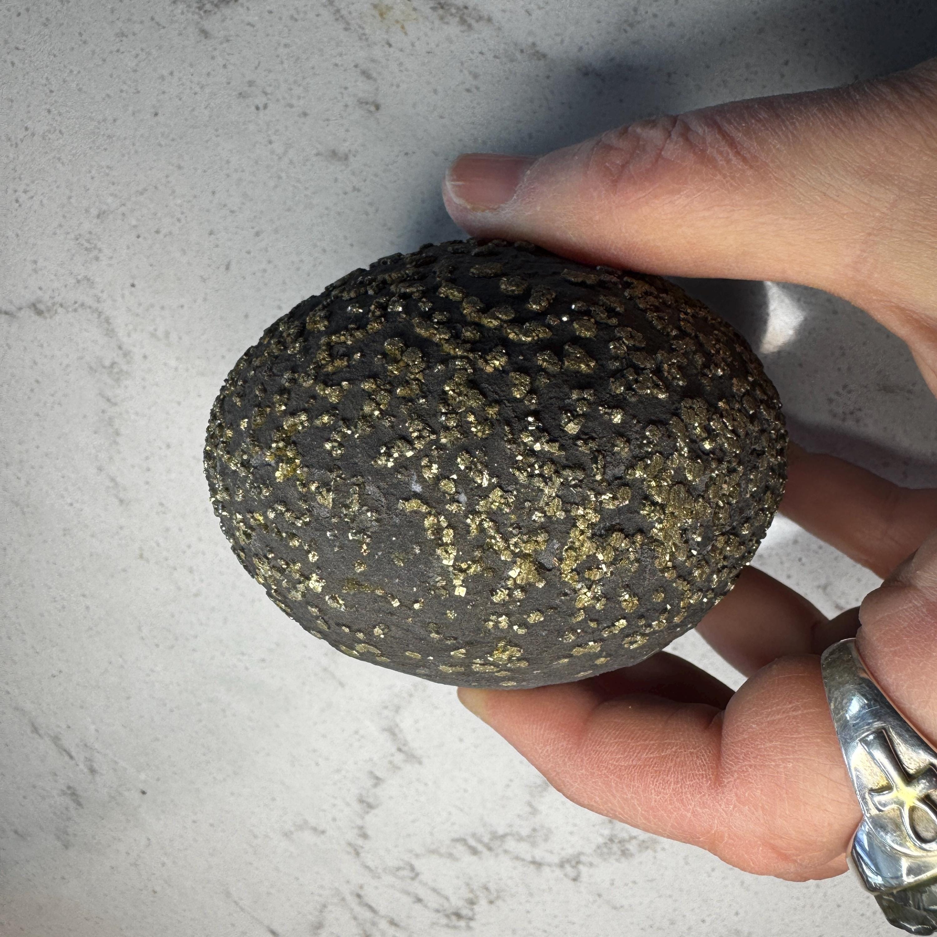 Stunning Large Pyrite Concretion #4