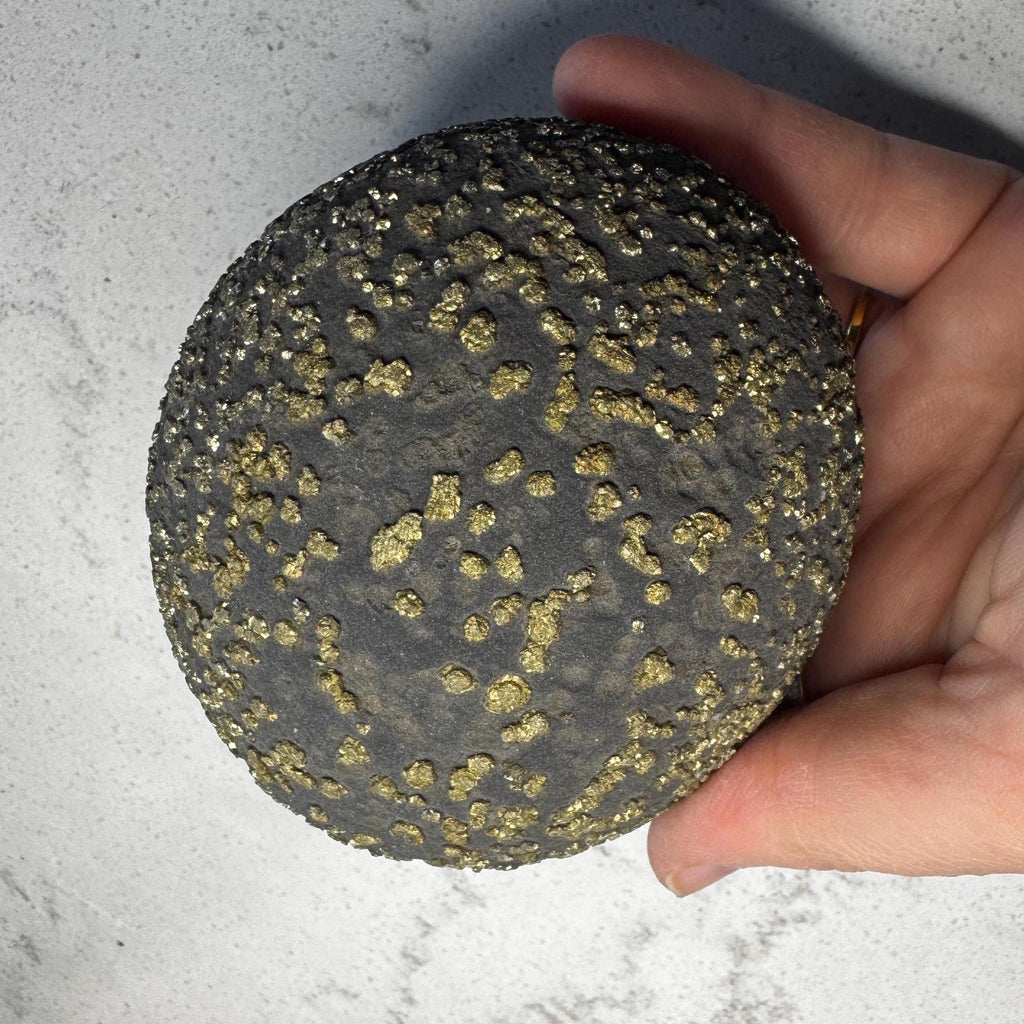 Stunning Large Pyrite Concretion #4
