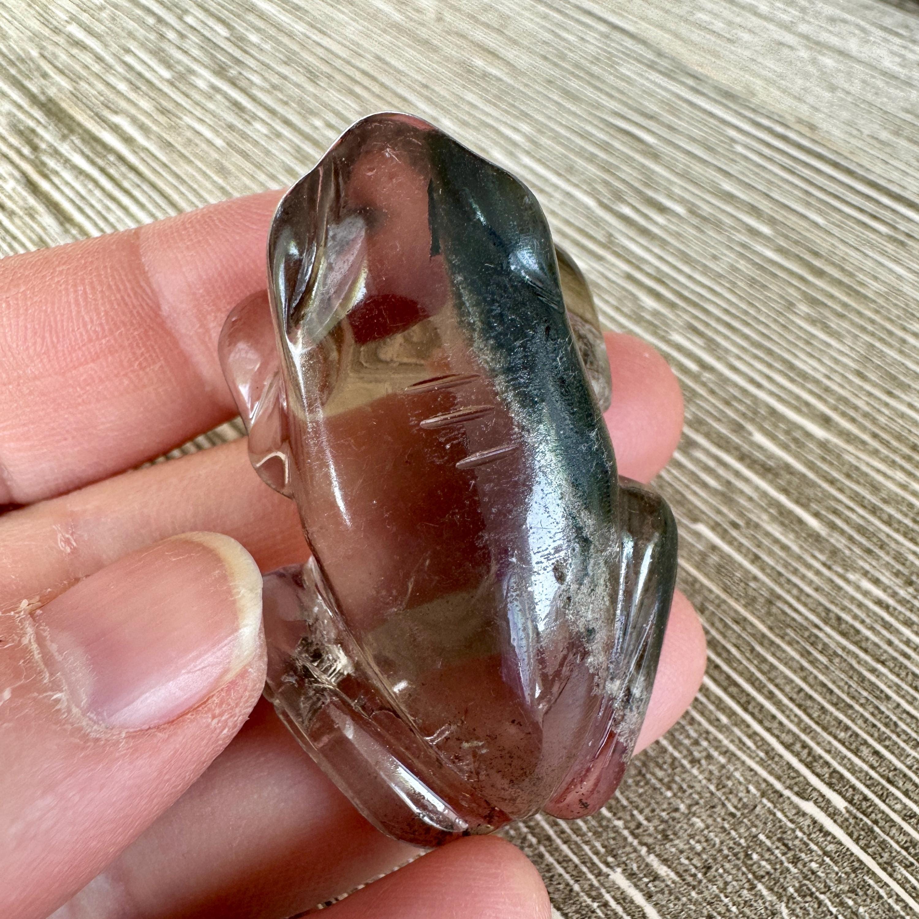 Sweet Lodolite Quartz Frog by Leandro De Souza