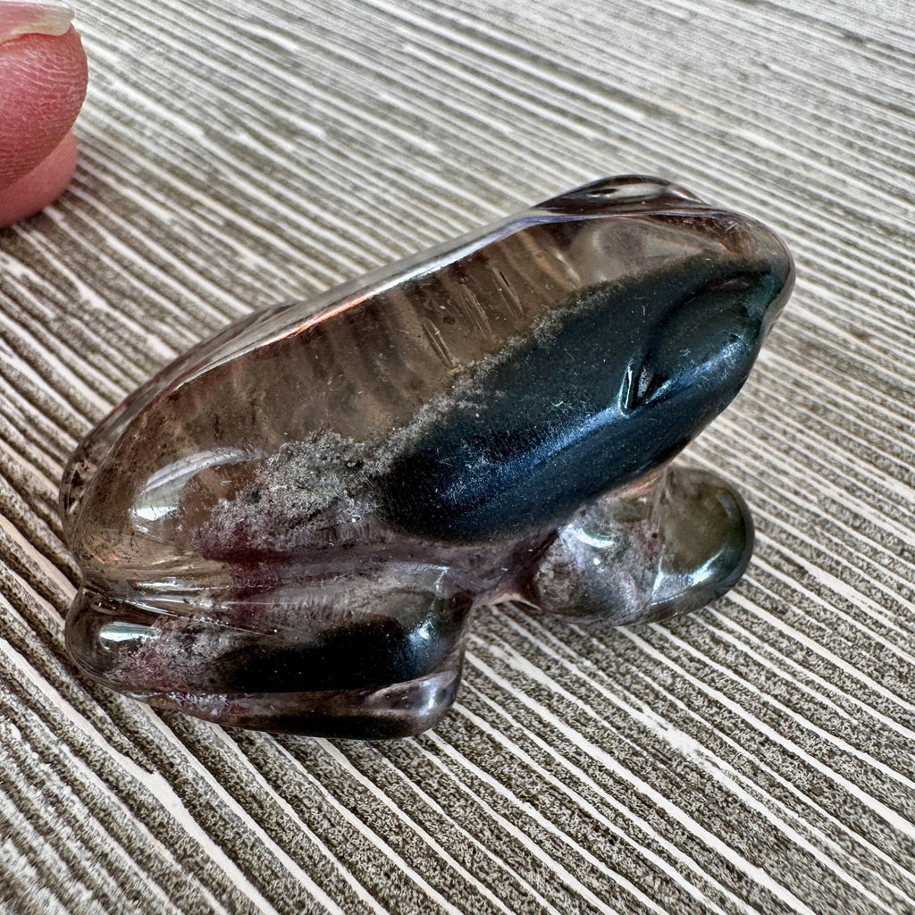 Sweet Lodolite Quartz Frog by Leandro De Souza
