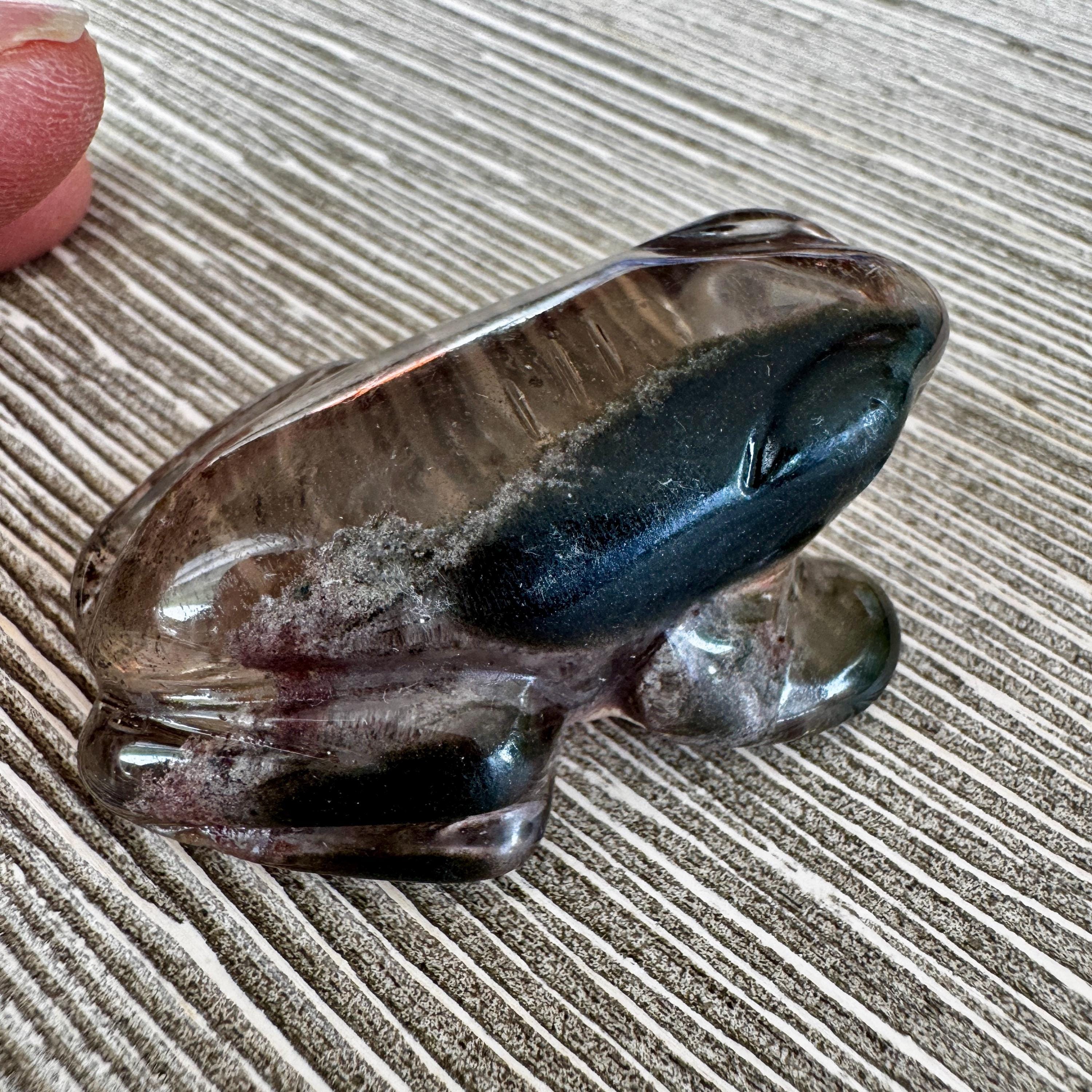 Sweet Lodolite Quartz Frog by Leandro De Souza
