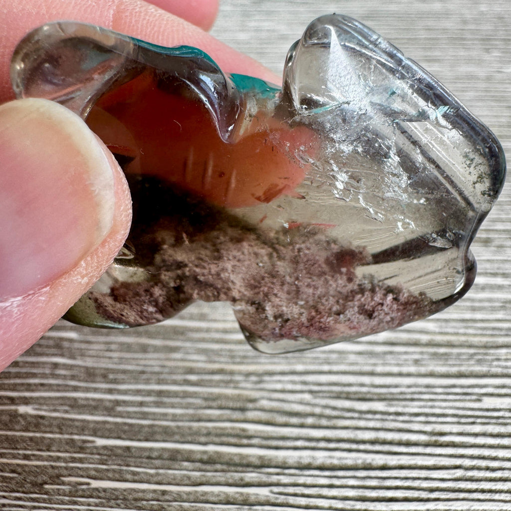 Sweet Lodolite Quartz Frog by Leandro De Souza