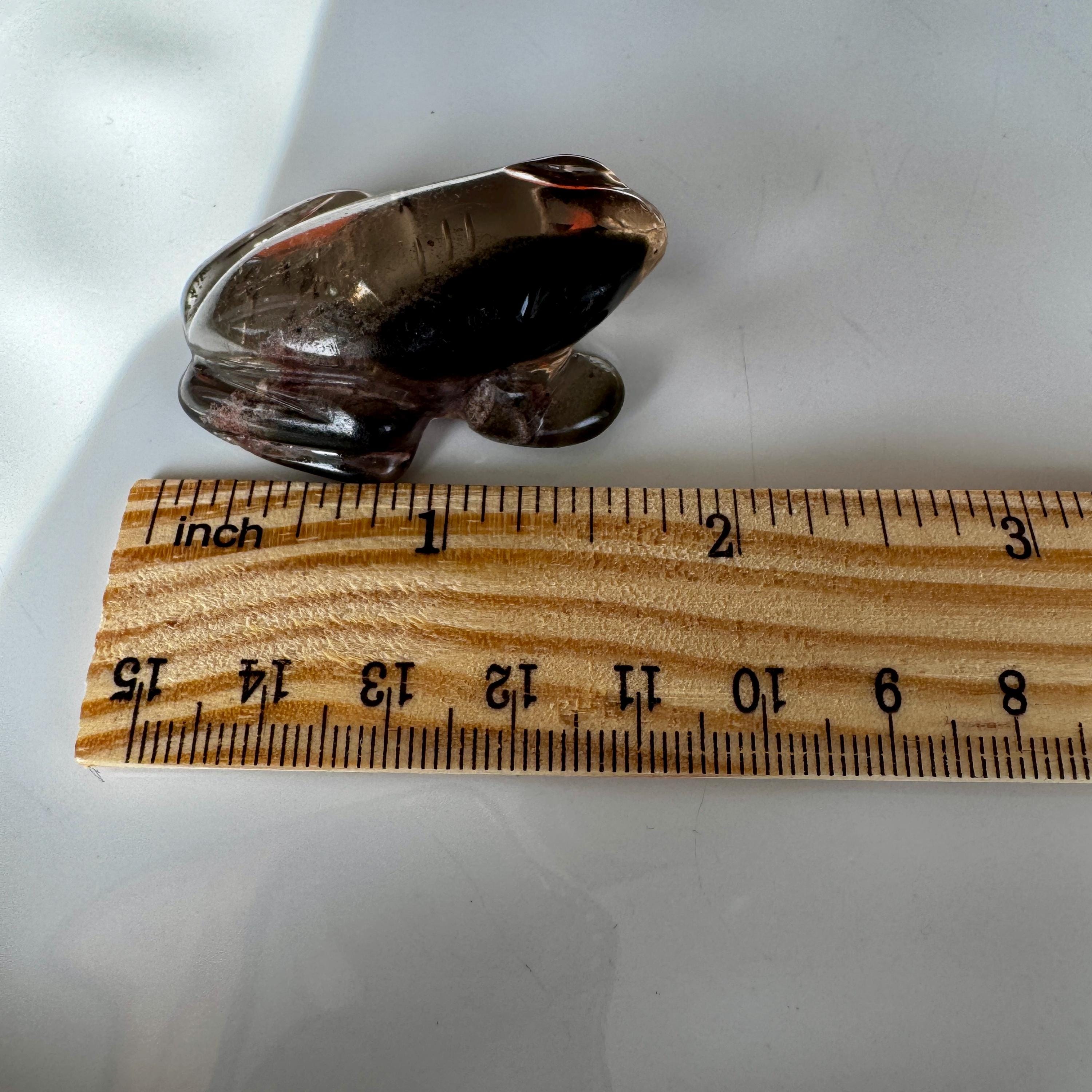 Sweet Lodolite Quartz Frog by Leandro De Souza