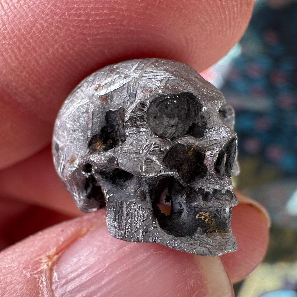 Small Detailed Gibeon Meteorite Skull #2 from Artifactual