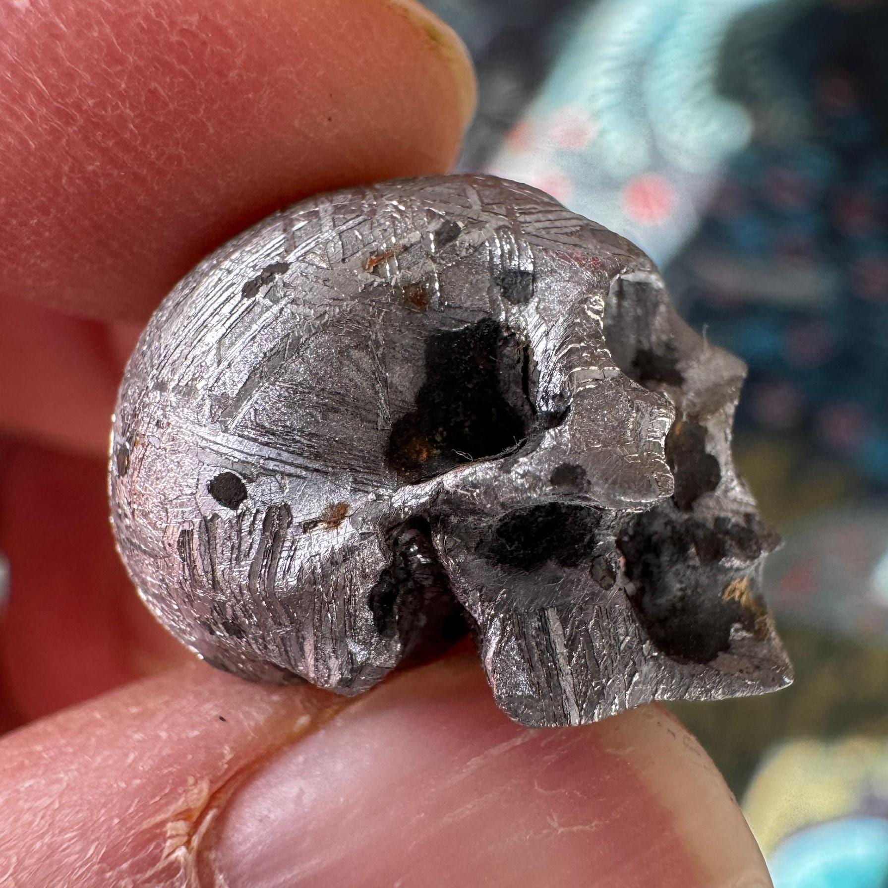 Small Detailed Gibeon Meteorite Skull #2 from Artifactual