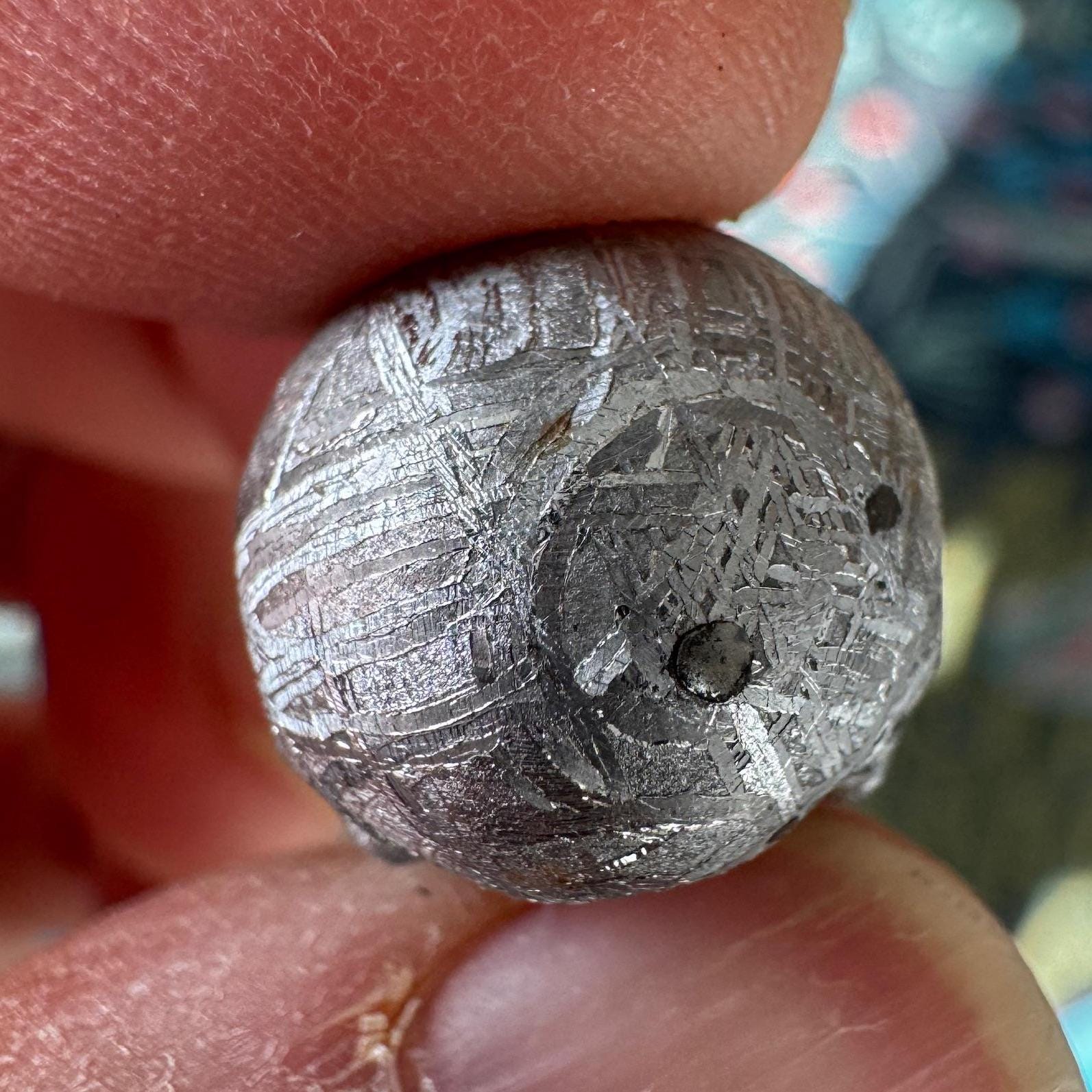 Small Detailed Gibeon Meteorite Skull #2 from Artifactual