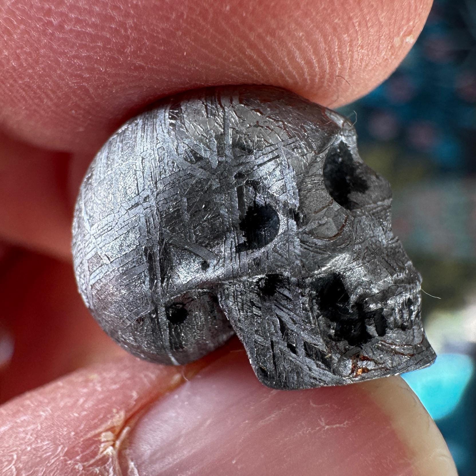 Small Detailed Gibeon Meteorite Skull #4 from Artifactual