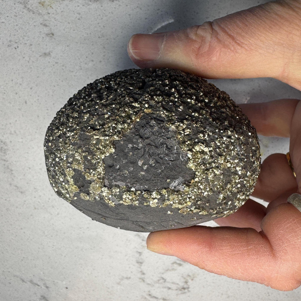 Stunning Large Pyrite Concretion #1