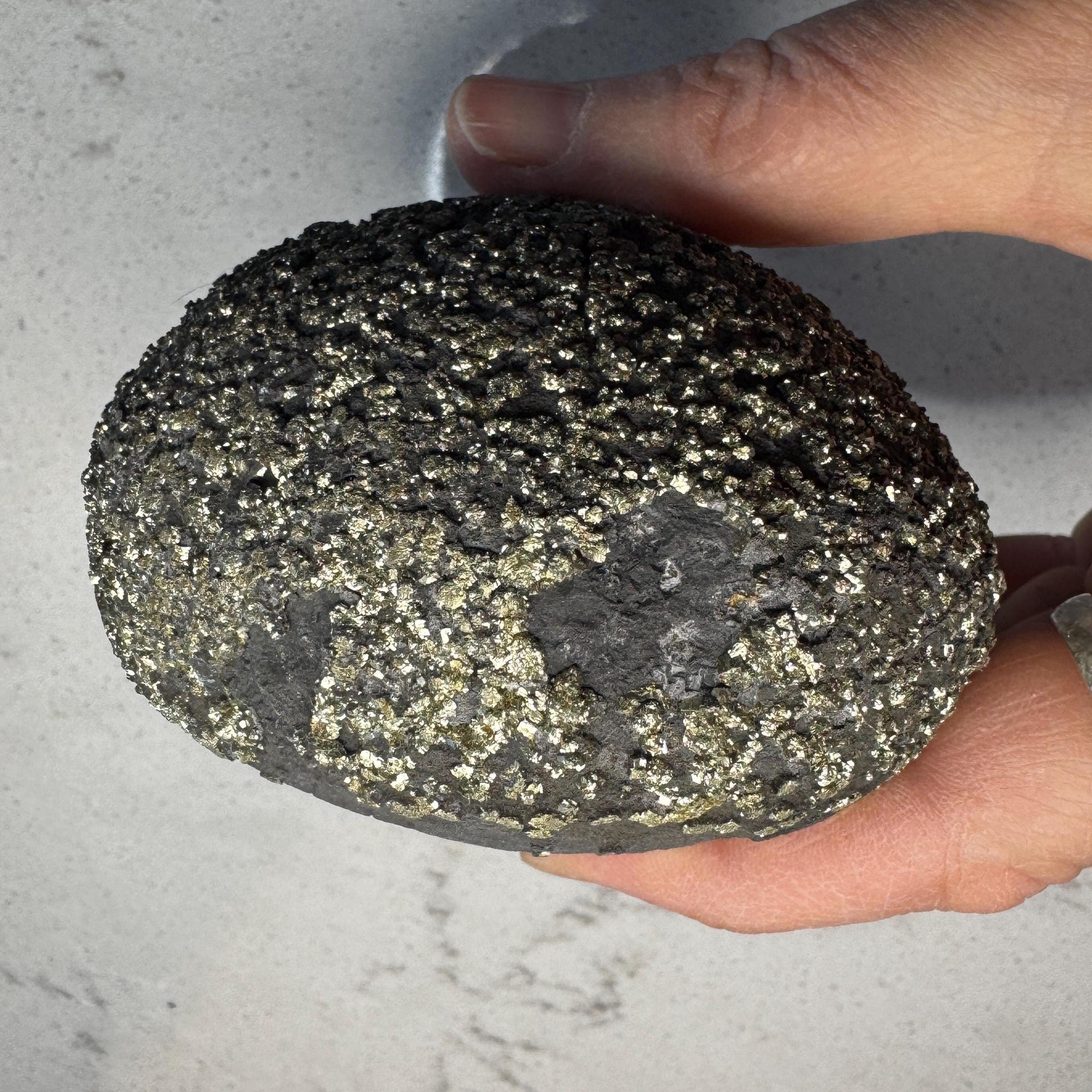 Stunning Large Pyrite Concretion #1