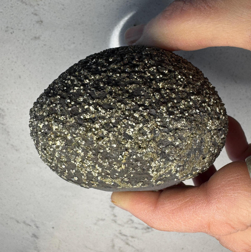 Stunning Large Pyrite Concretion #1
