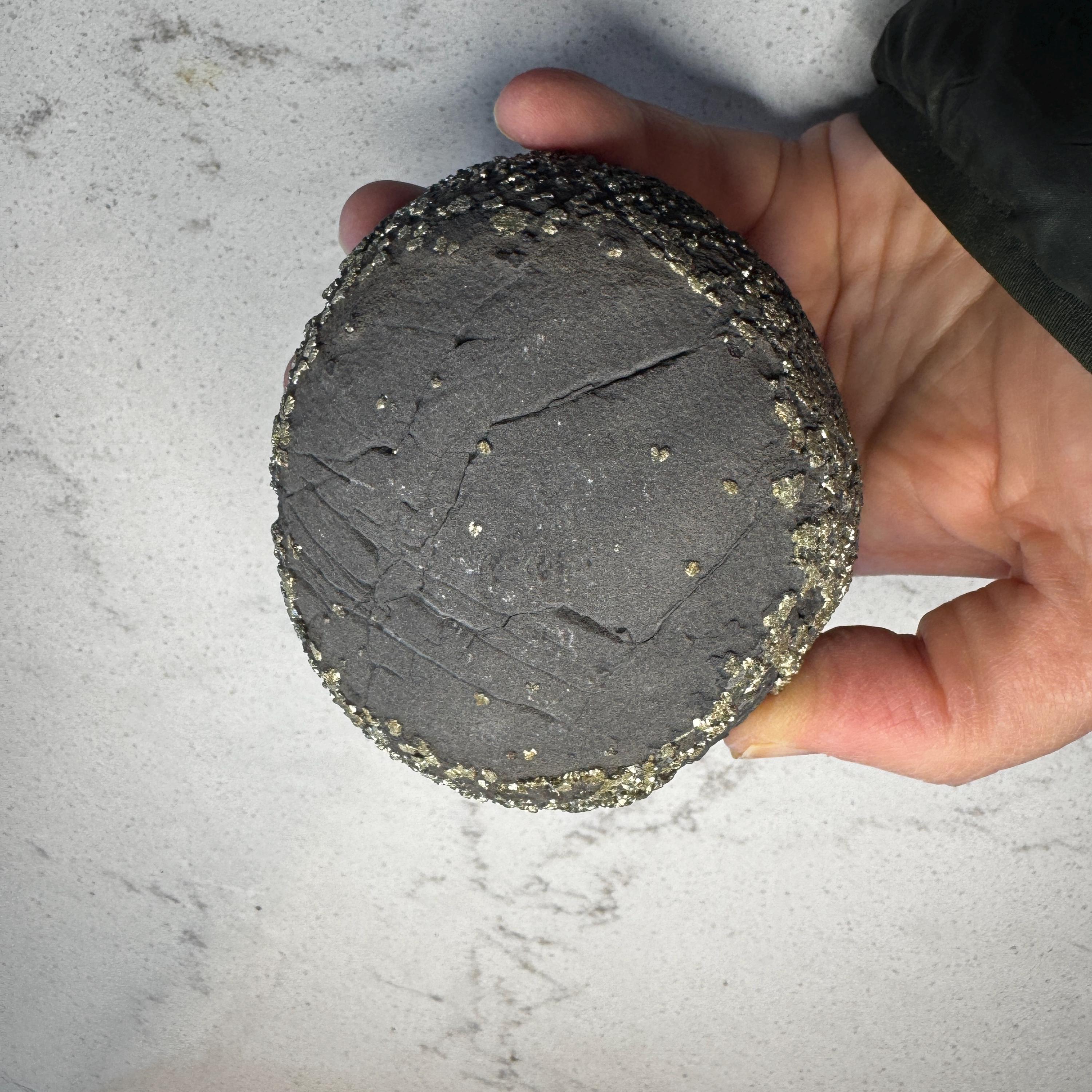 Stunning Large Pyrite Concretion #1