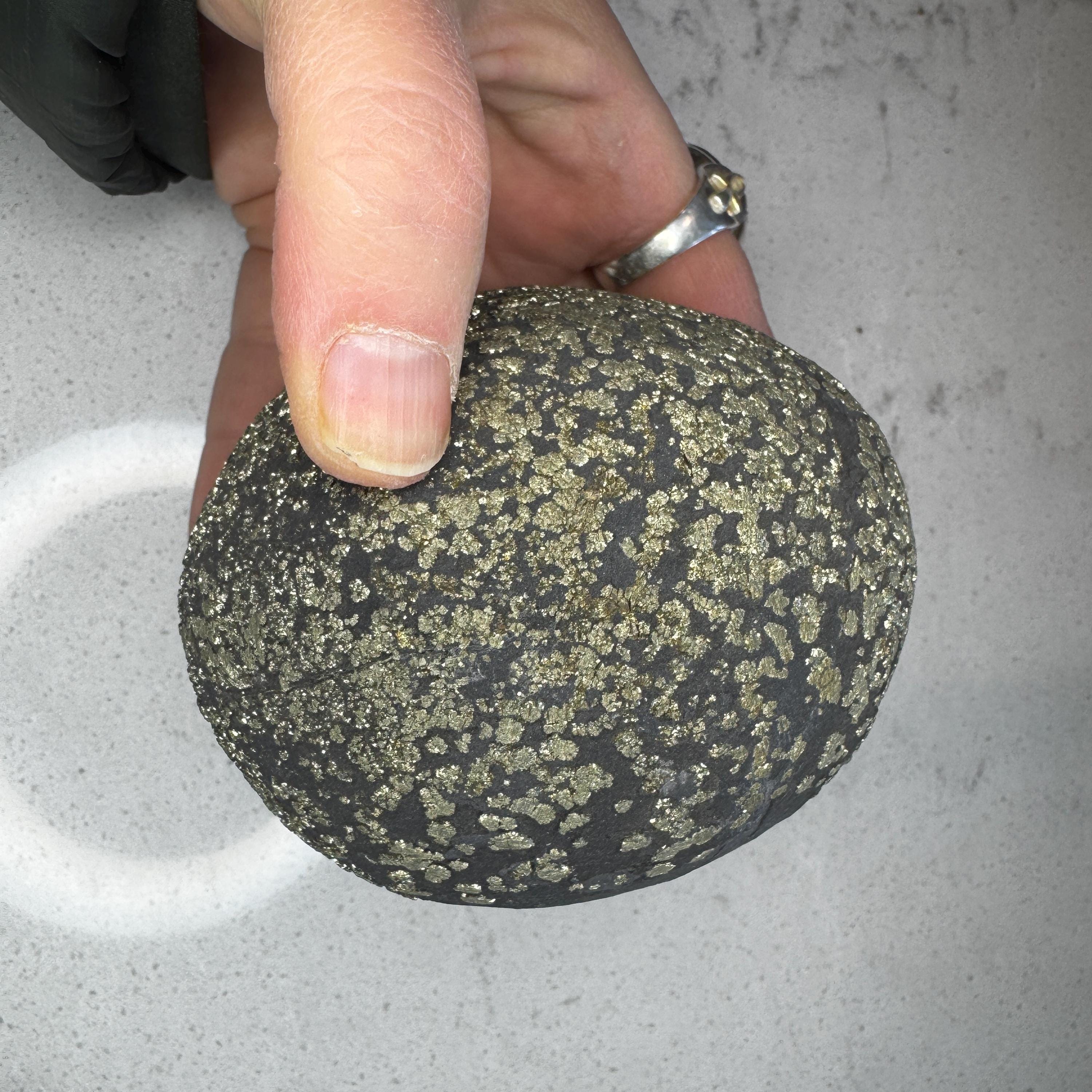 Large Pyrite Concretion: Sedimentary Shaman Stone