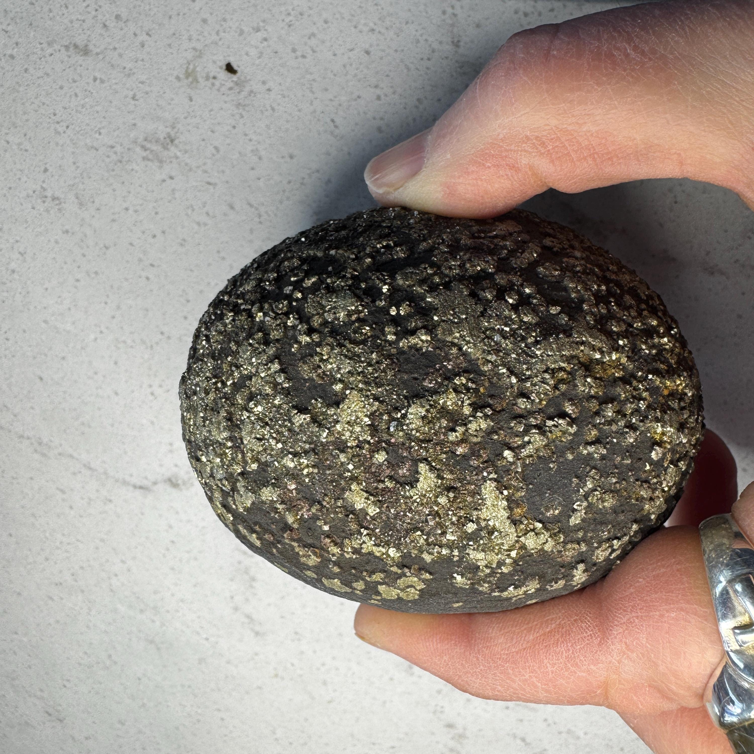 Stunning Large Pyrite Concretion #3