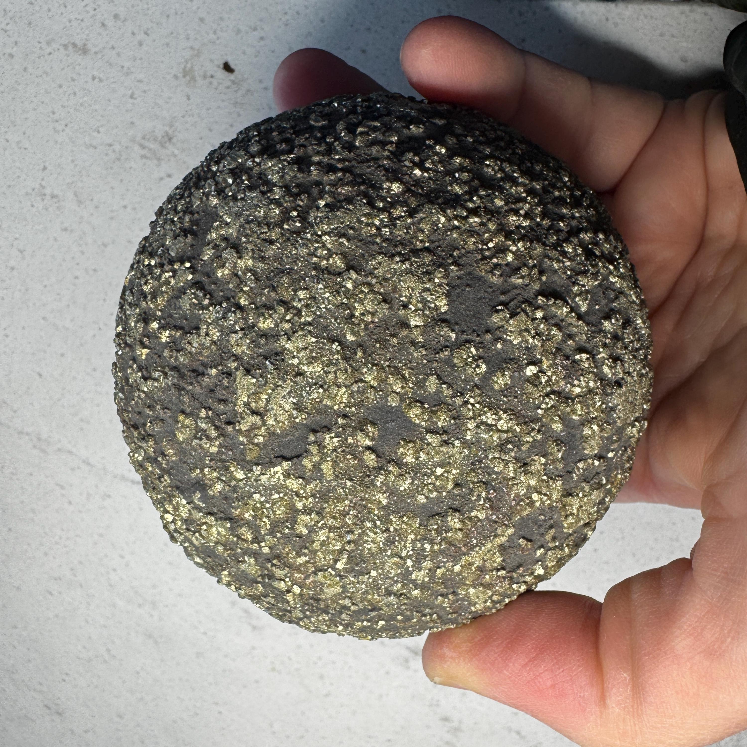 Stunning Large Pyrite Concretion #3