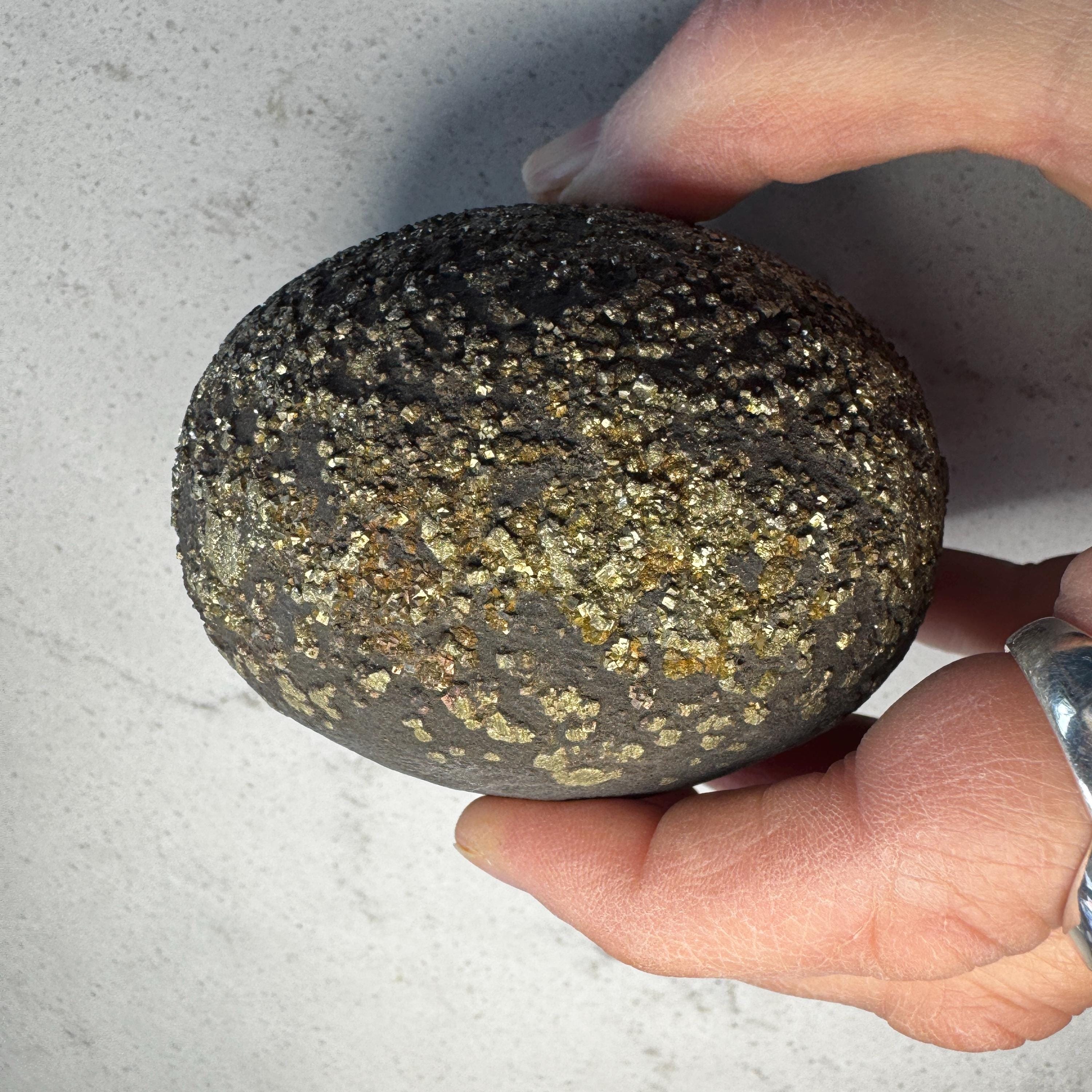 Stunning Large Pyrite Concretion #3
