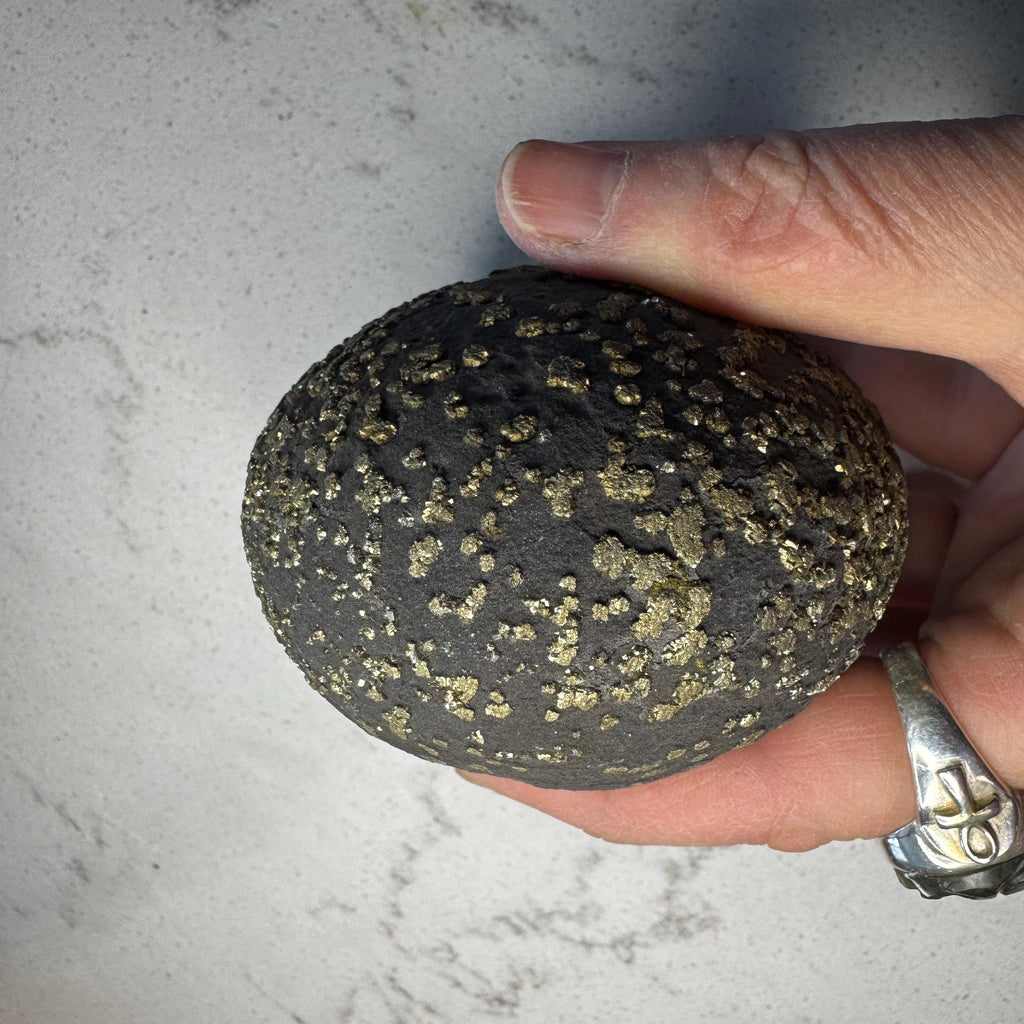 Stunning Large Pyrite Concretion #4