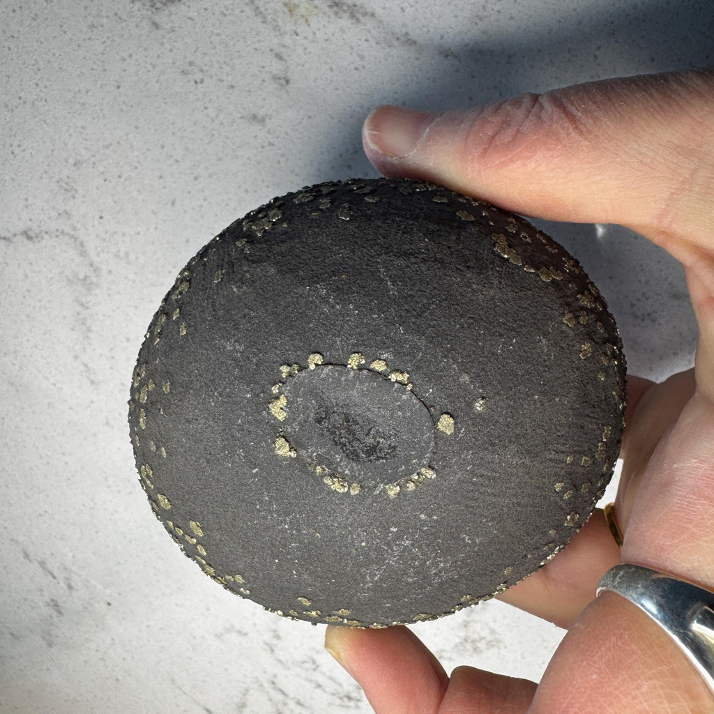 Stunning Large Pyrite Concretion #4