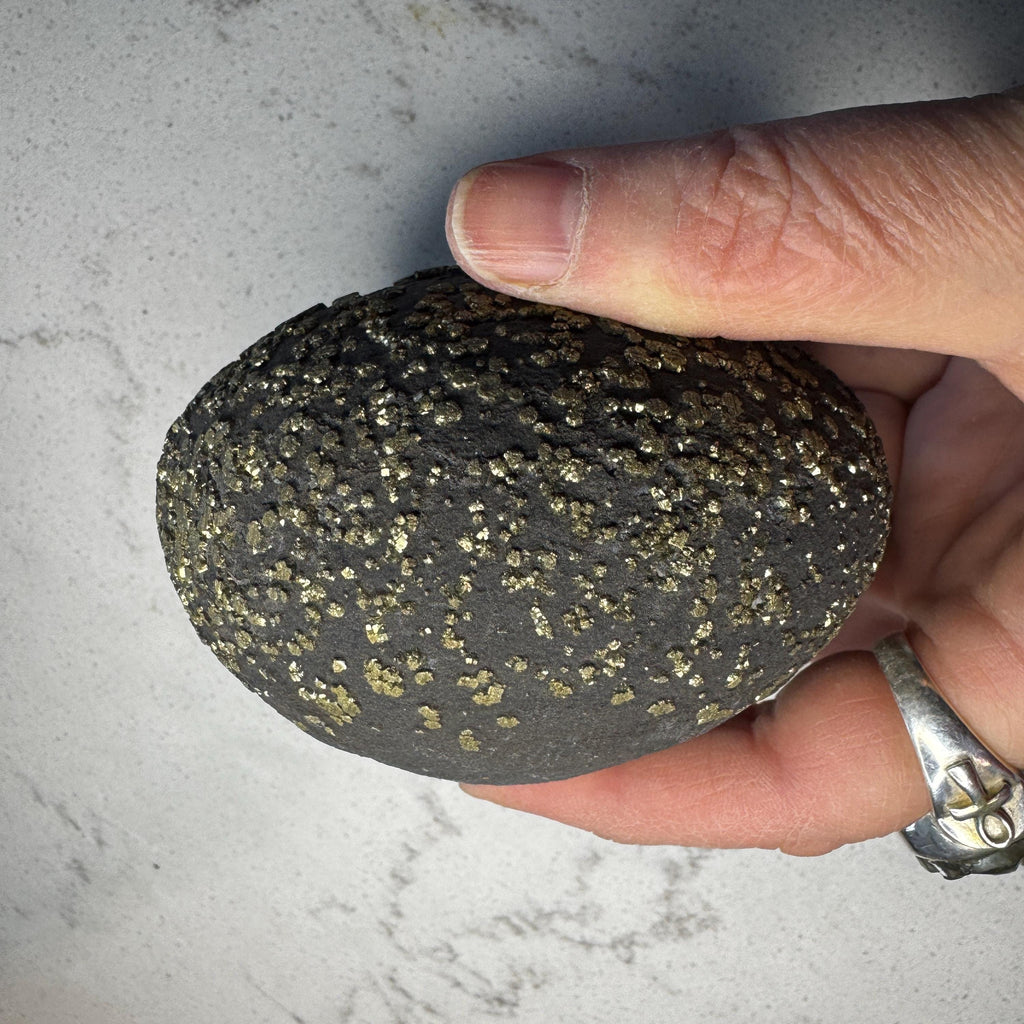Stunning Large Pyrite Concretion #4