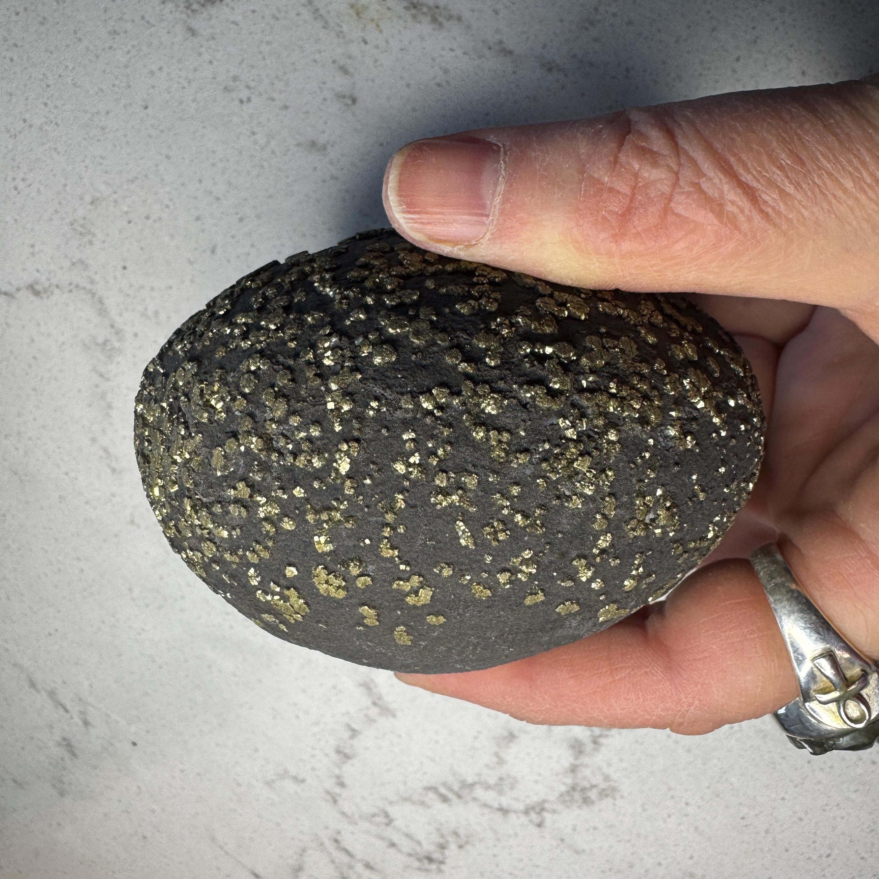 Stunning Large Pyrite Concretion #4