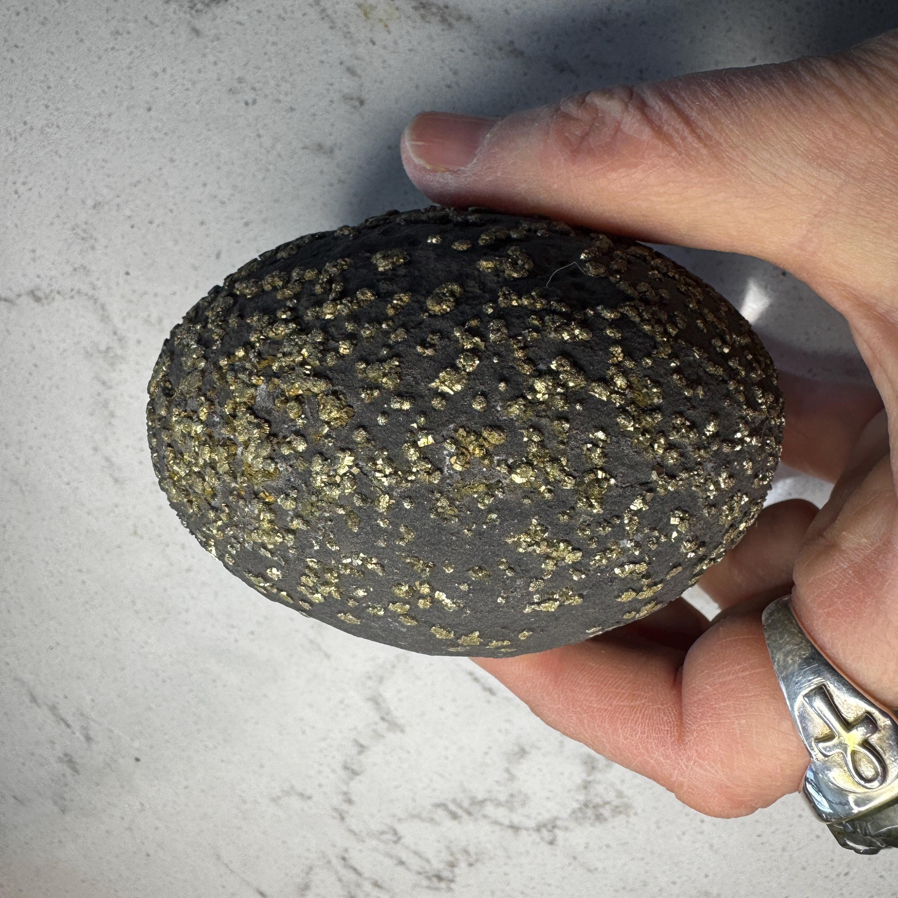 Stunning Large Pyrite Concretion #4