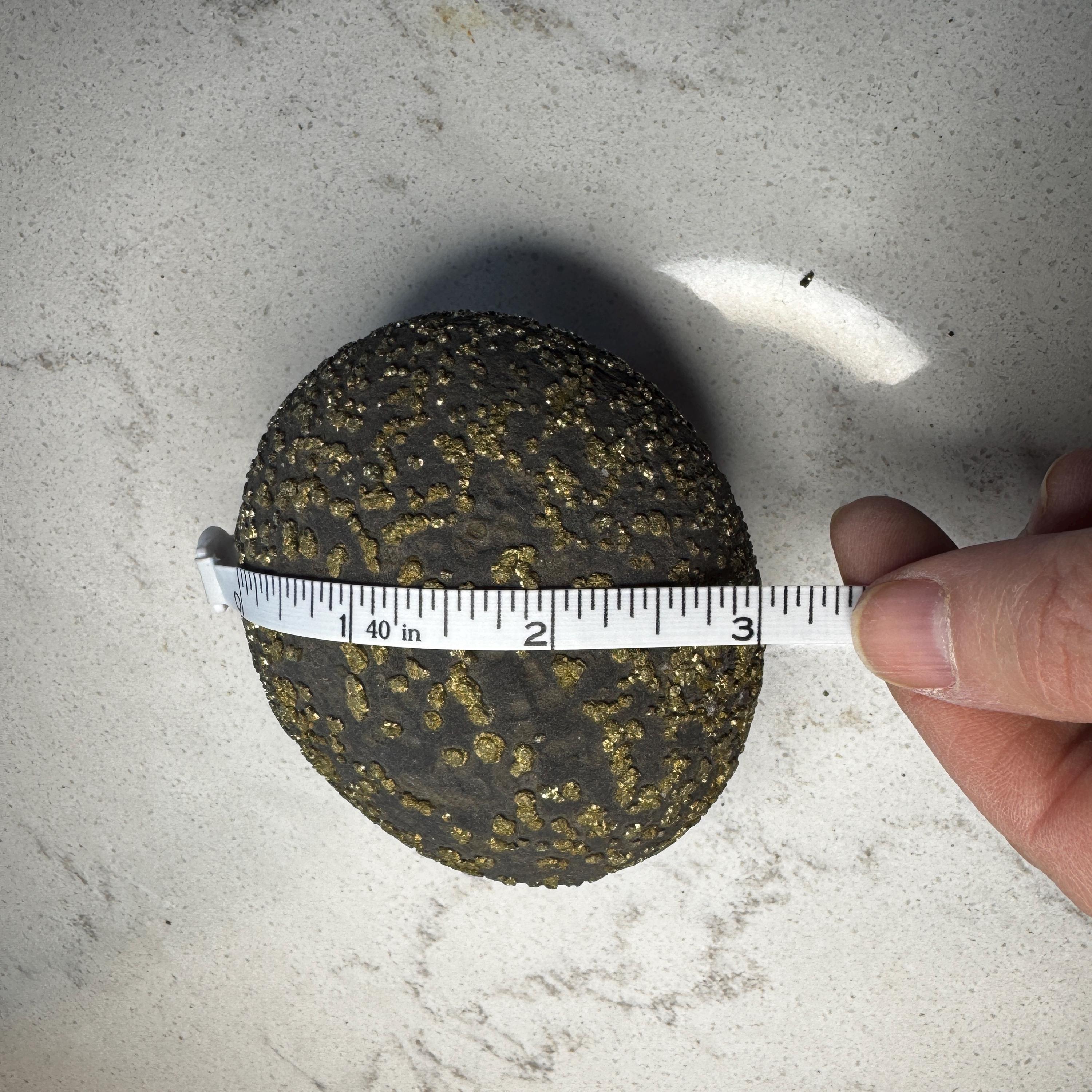 Stunning Large Pyrite Concretion #4