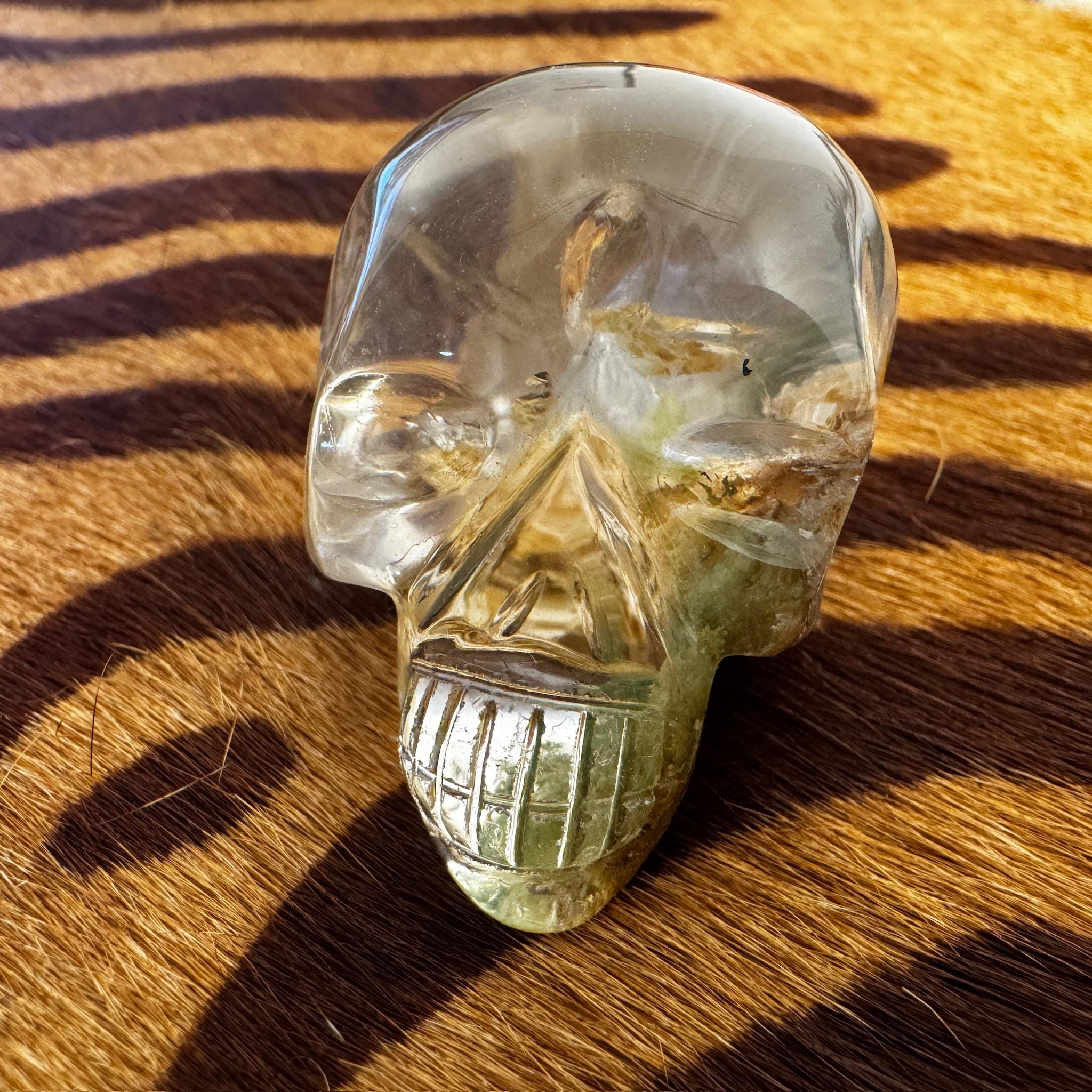 Garden Quartz Skull Carving by Igor de Souza: Lodolite Crystal Skull