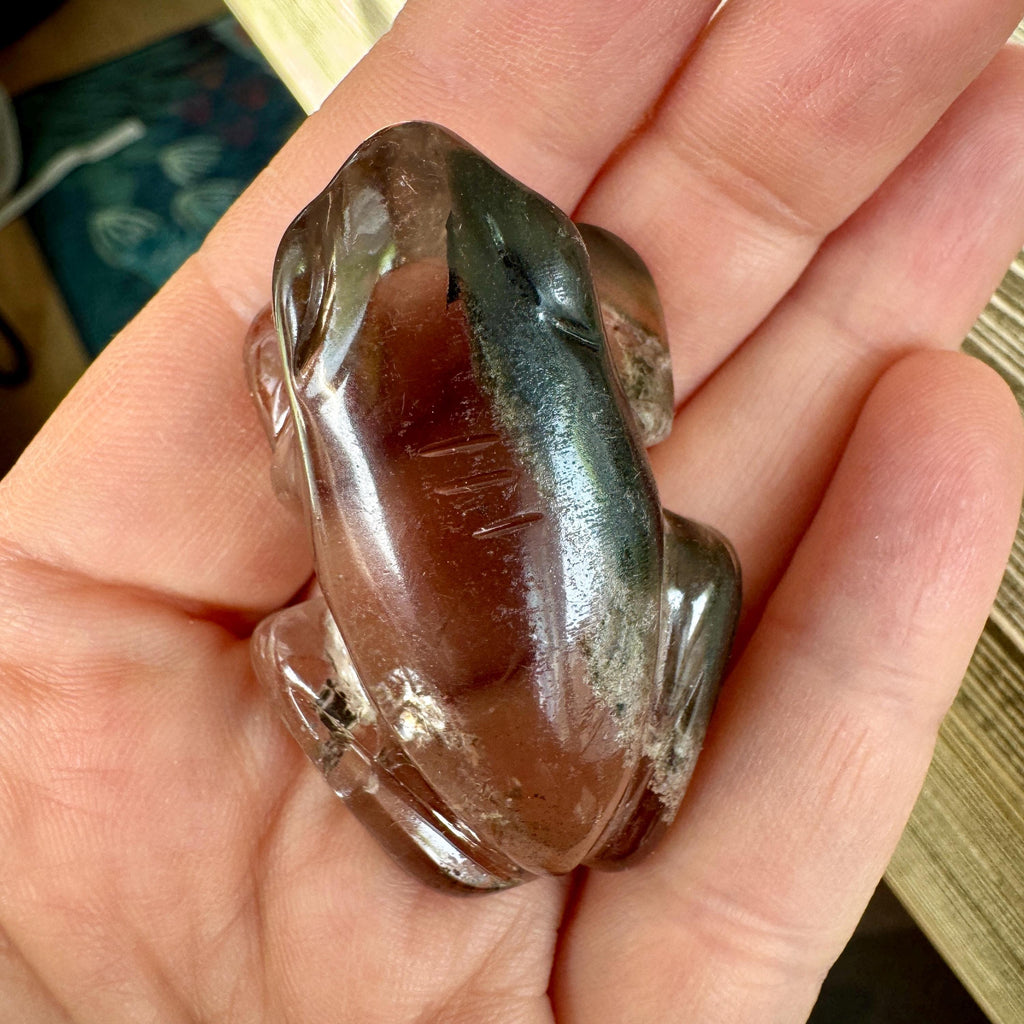 Sweet Lodolite Quartz Frog by Leandro De Souza