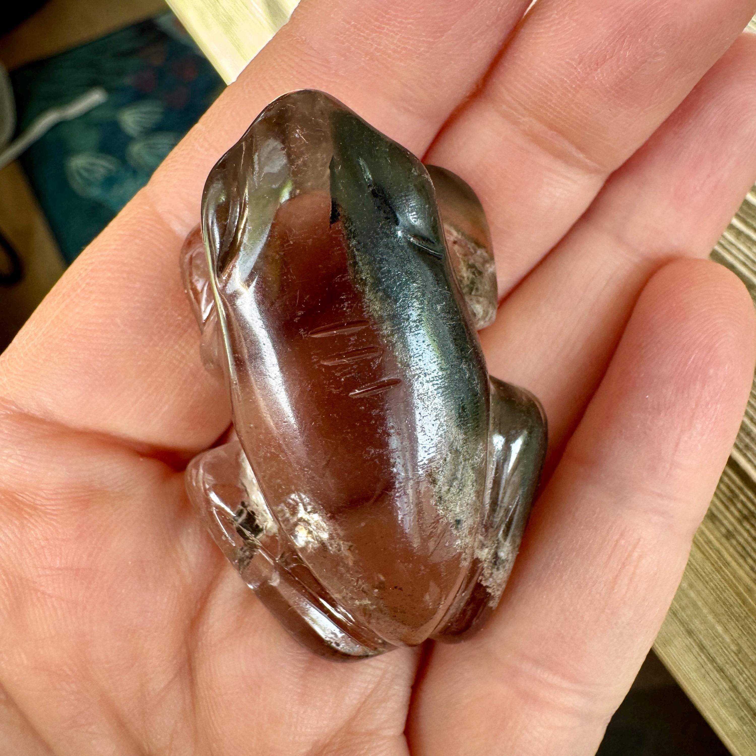 Sweet Lodolite Quartz Frog by Leandro De Souza