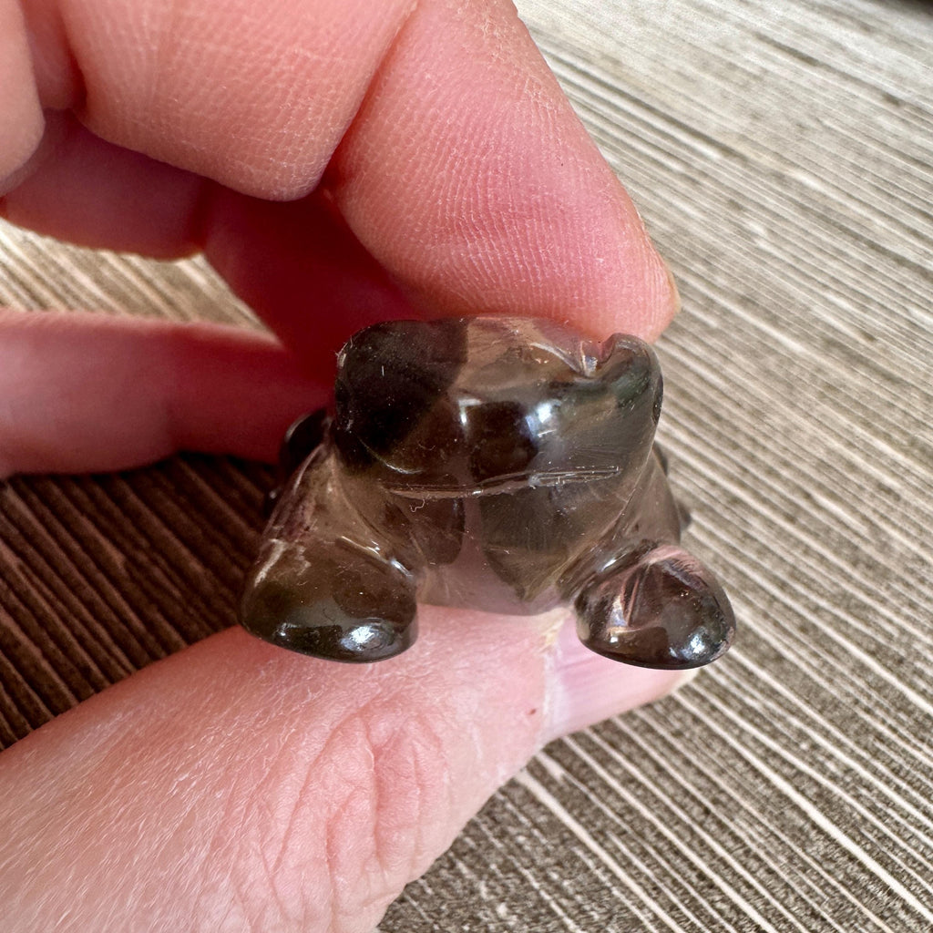 Sweet Lodolite Quartz Frog by Leandro De Souza