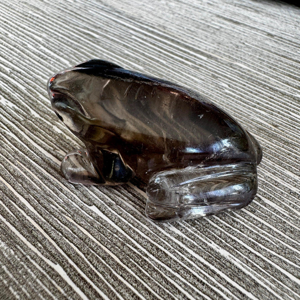 Sweet Lodolite Quartz Frog by Leandro De Souza