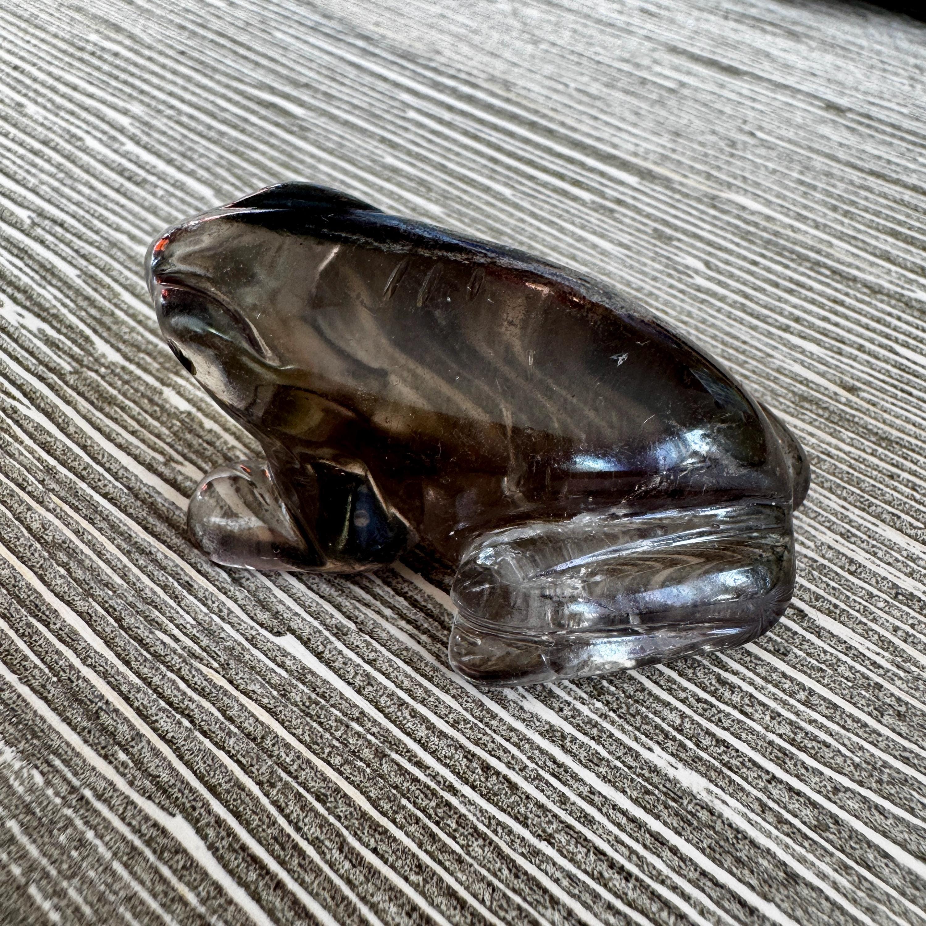 Sweet Lodolite Quartz Frog by Leandro De Souza