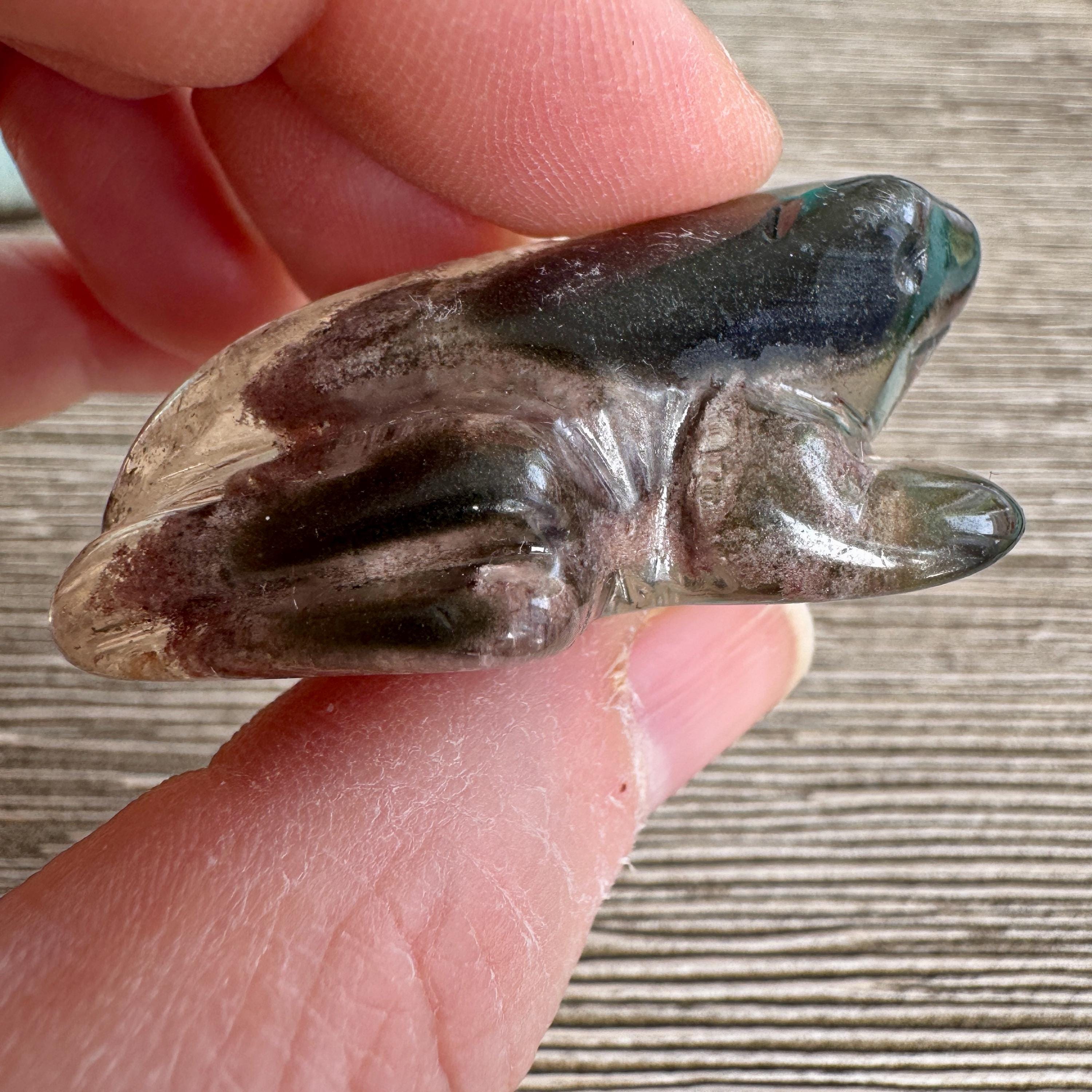 Sweet Lodolite Quartz Frog by Leandro De Souza