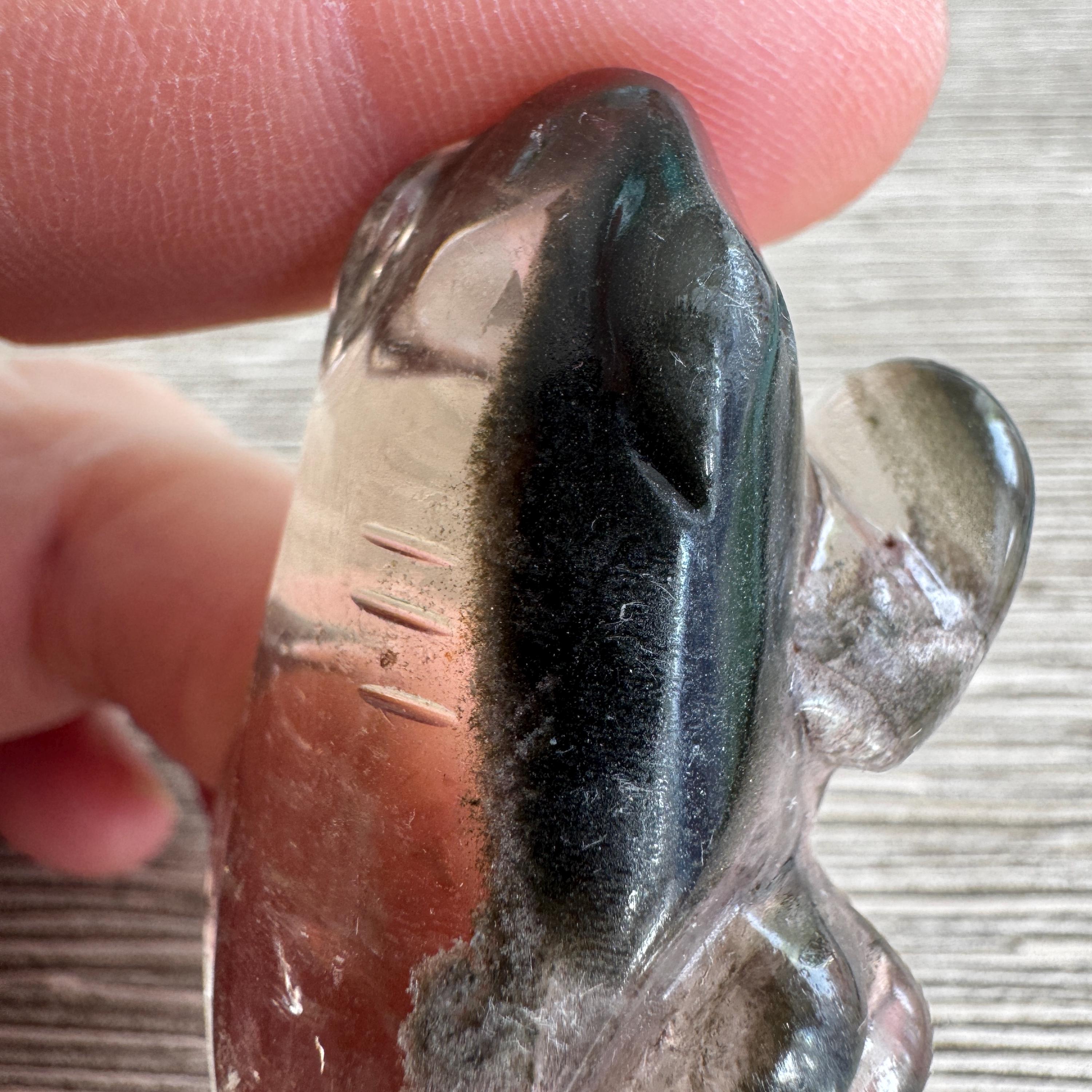 Sweet Lodolite Quartz Frog by Leandro De Souza