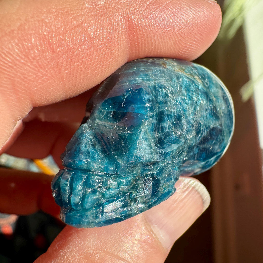 Blue Apatite Elongated Igor De Souza Crystal Skull