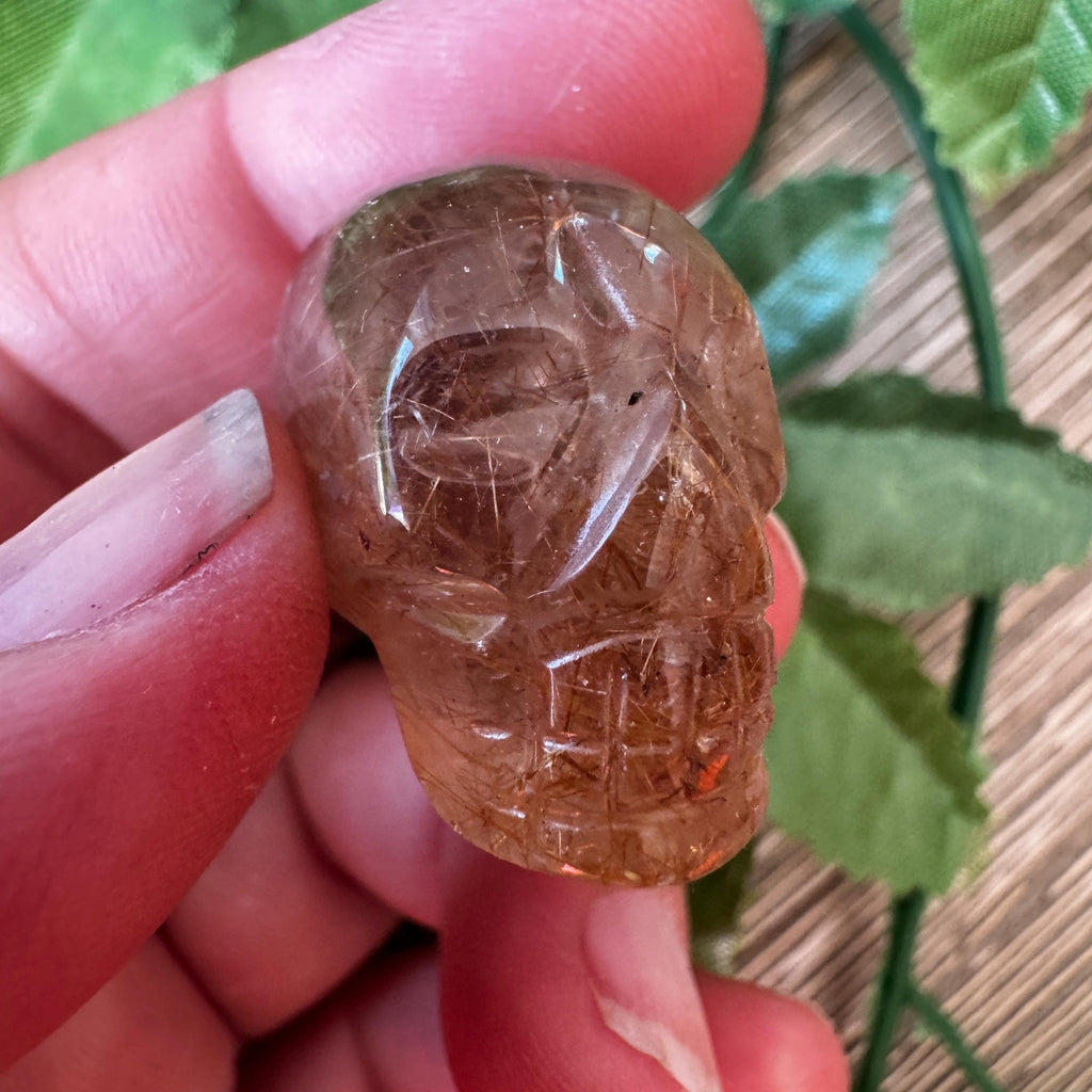 Golden Rutile Igor De Souza Crystal Skull