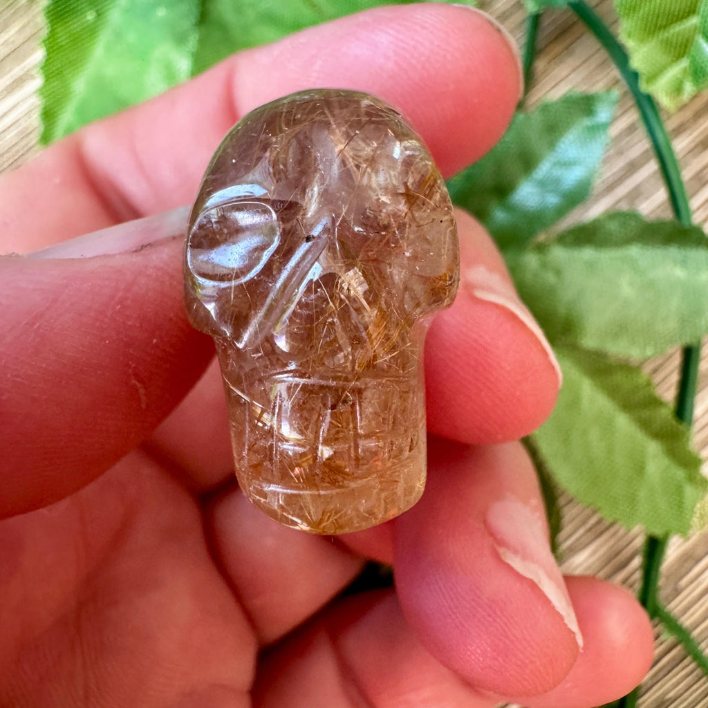 Golden Rutile Igor De Souza Crystal Skull