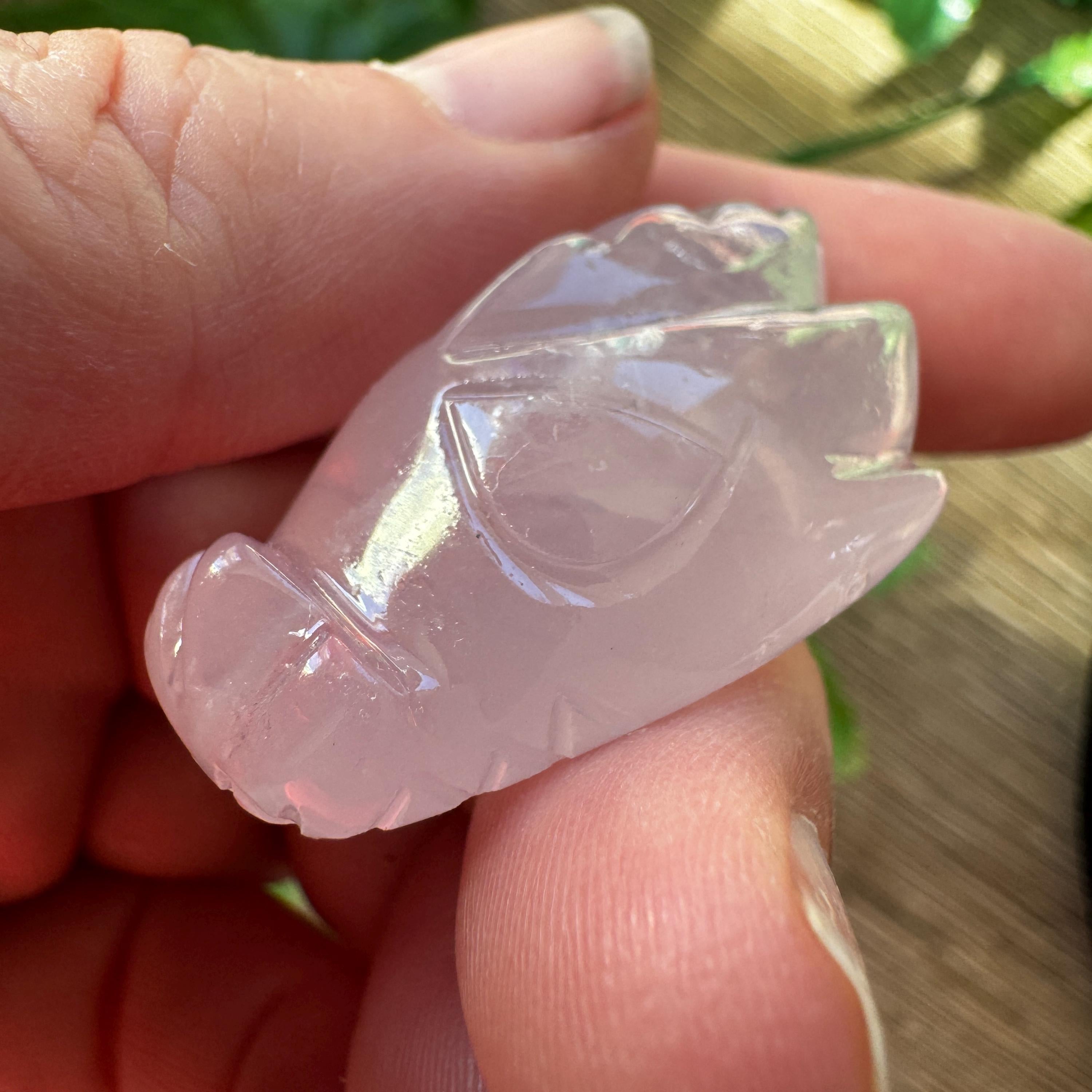 Tiny Rose Quartz Leandro De Souza Dragon Skull