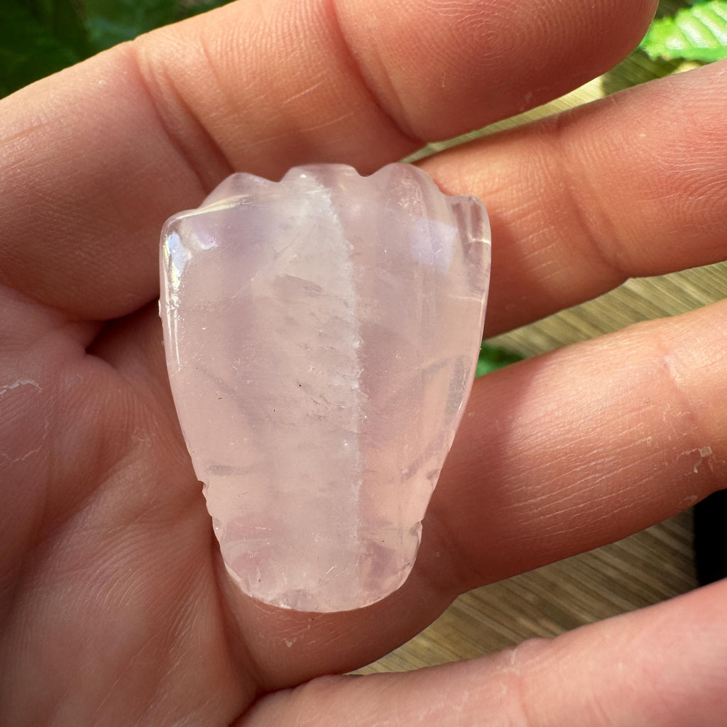 Tiny Rose Quartz Leandro De Souza Dragon Skull