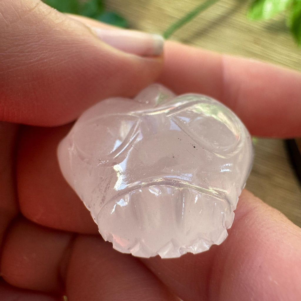 Tiny Rose Quartz Leandro De Souza Dragon Skull